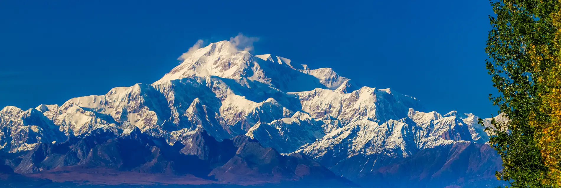 Denal in the alaska range and the Alaska railroad train. Denali is the highest mountain peak in North America, with a summit elevation of 20,310 feet