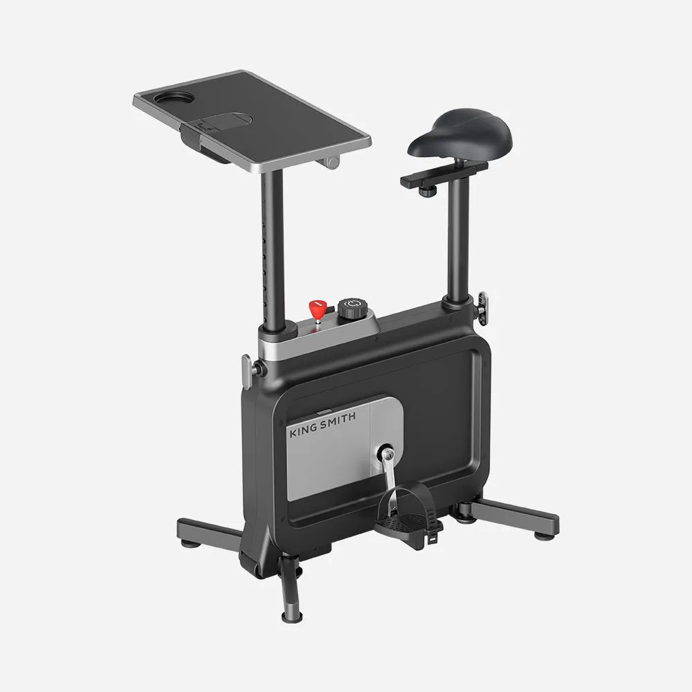 W1B Foldable Exercise Bike