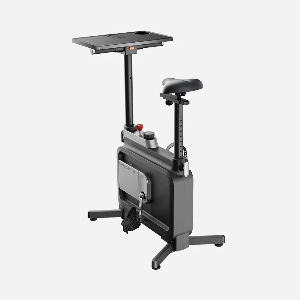 W1B Foldable Exercise Bike