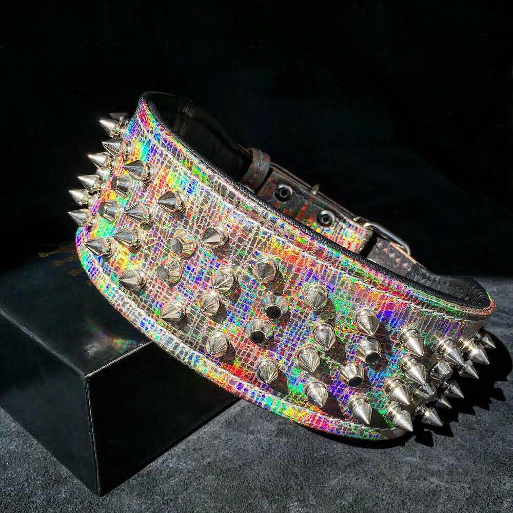 "Chameleon" LIMITED Big Dog Collar