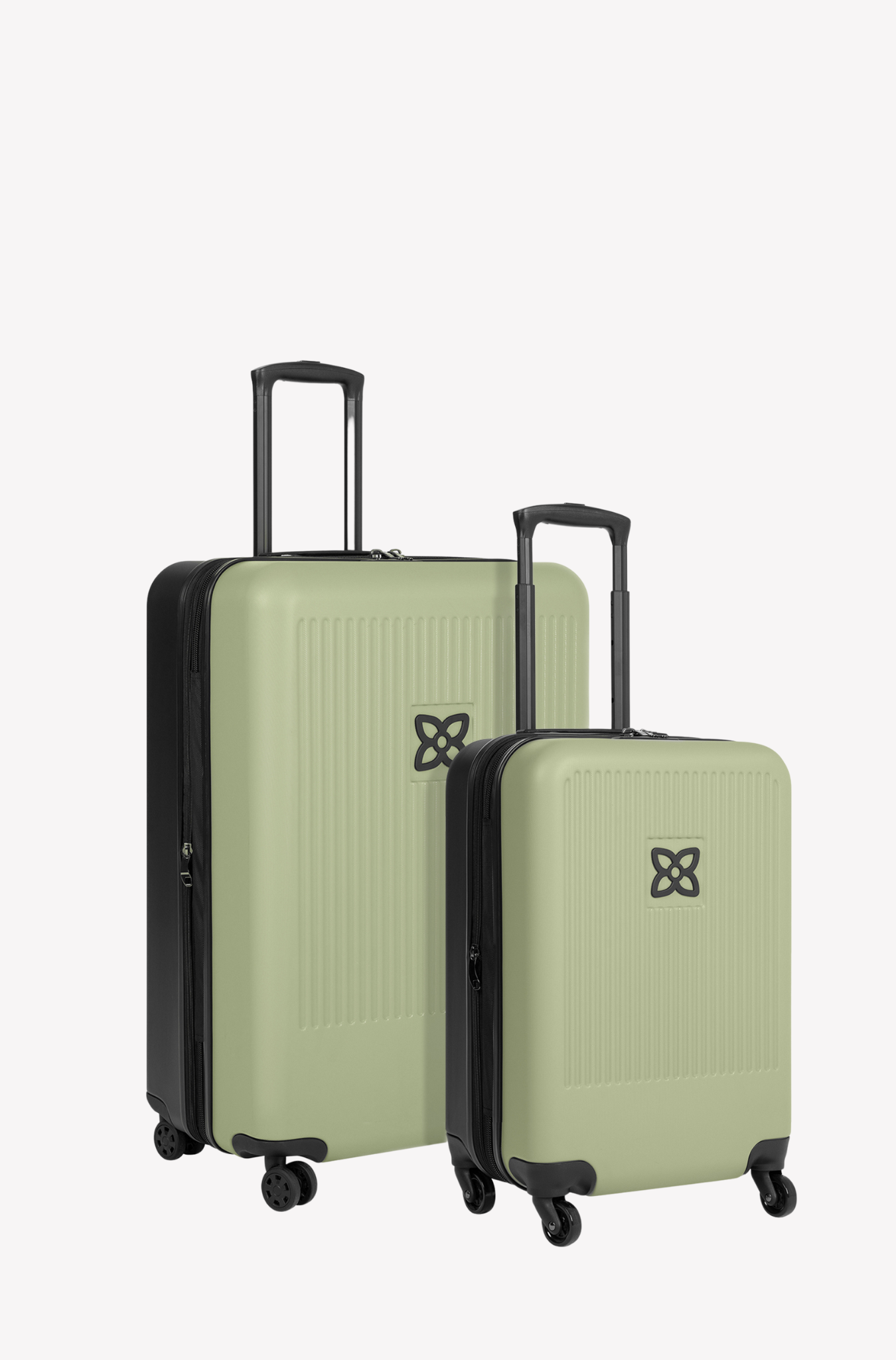 Meridian 2 Piece Luggage Set