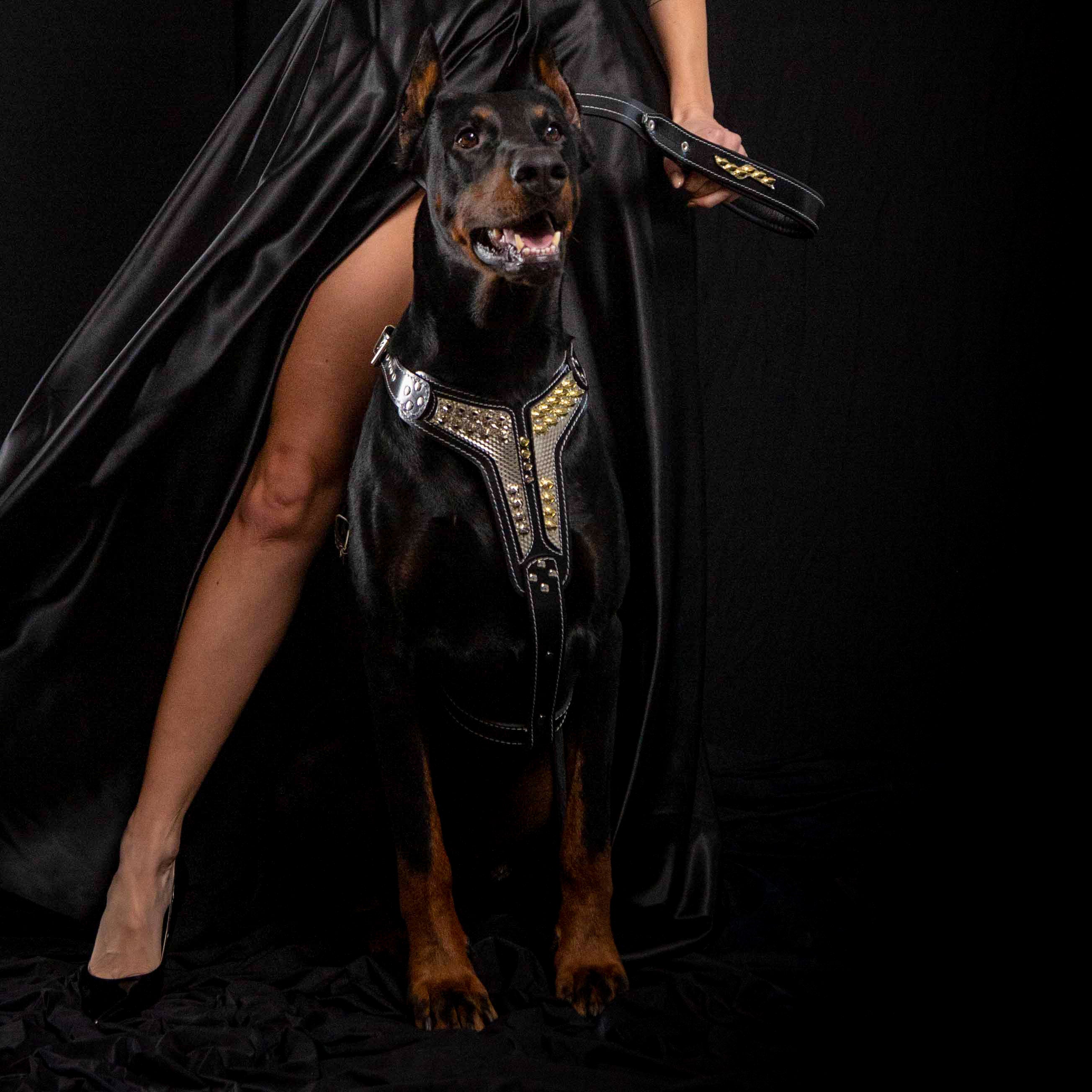 The "Platinum" Dog Harness
