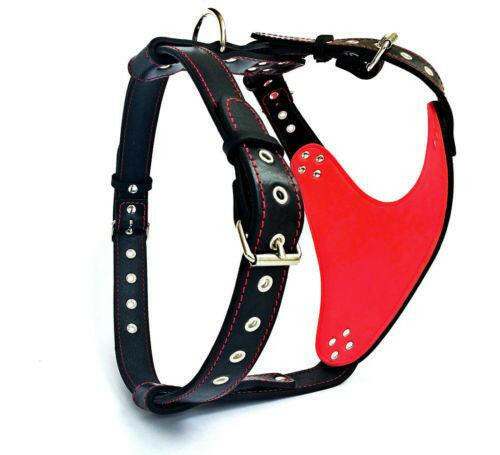 The "Steel" Dog Harness