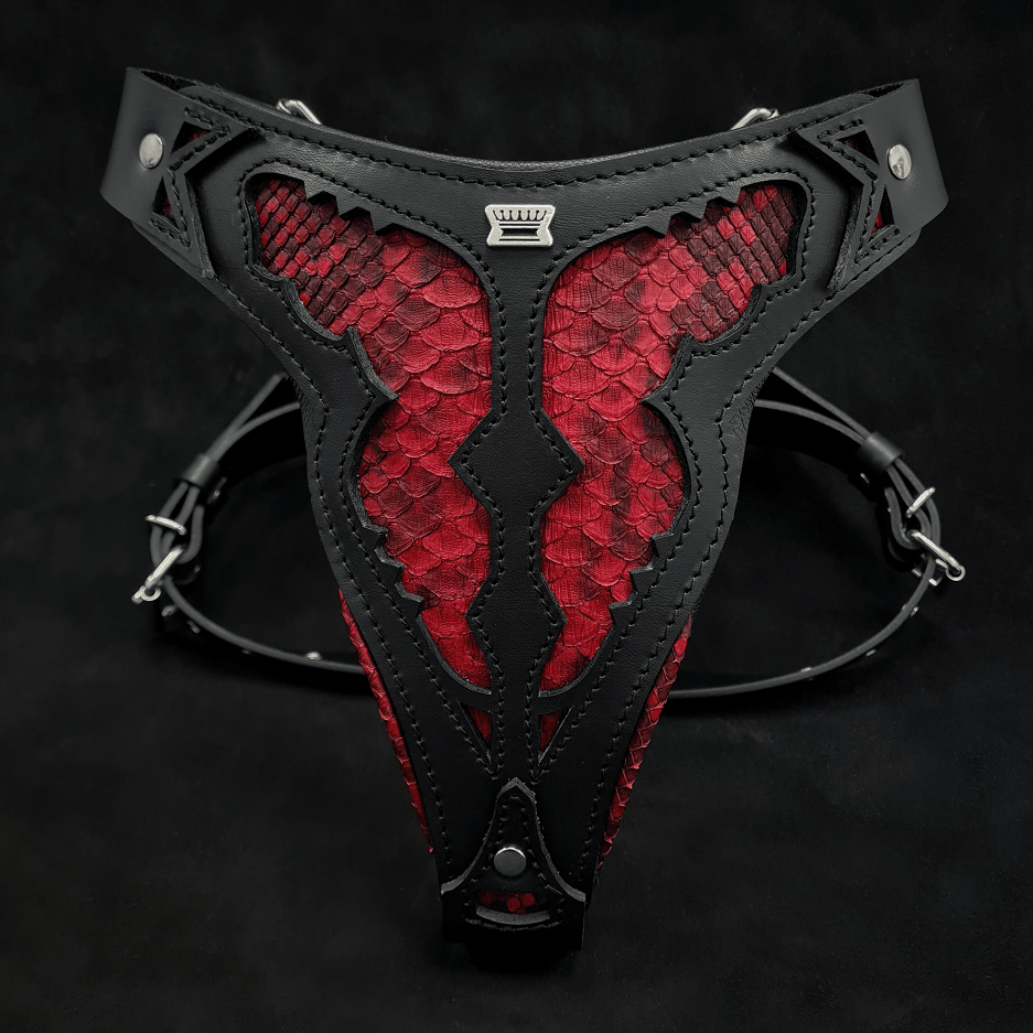 The "Red Dragon" Dog Harness