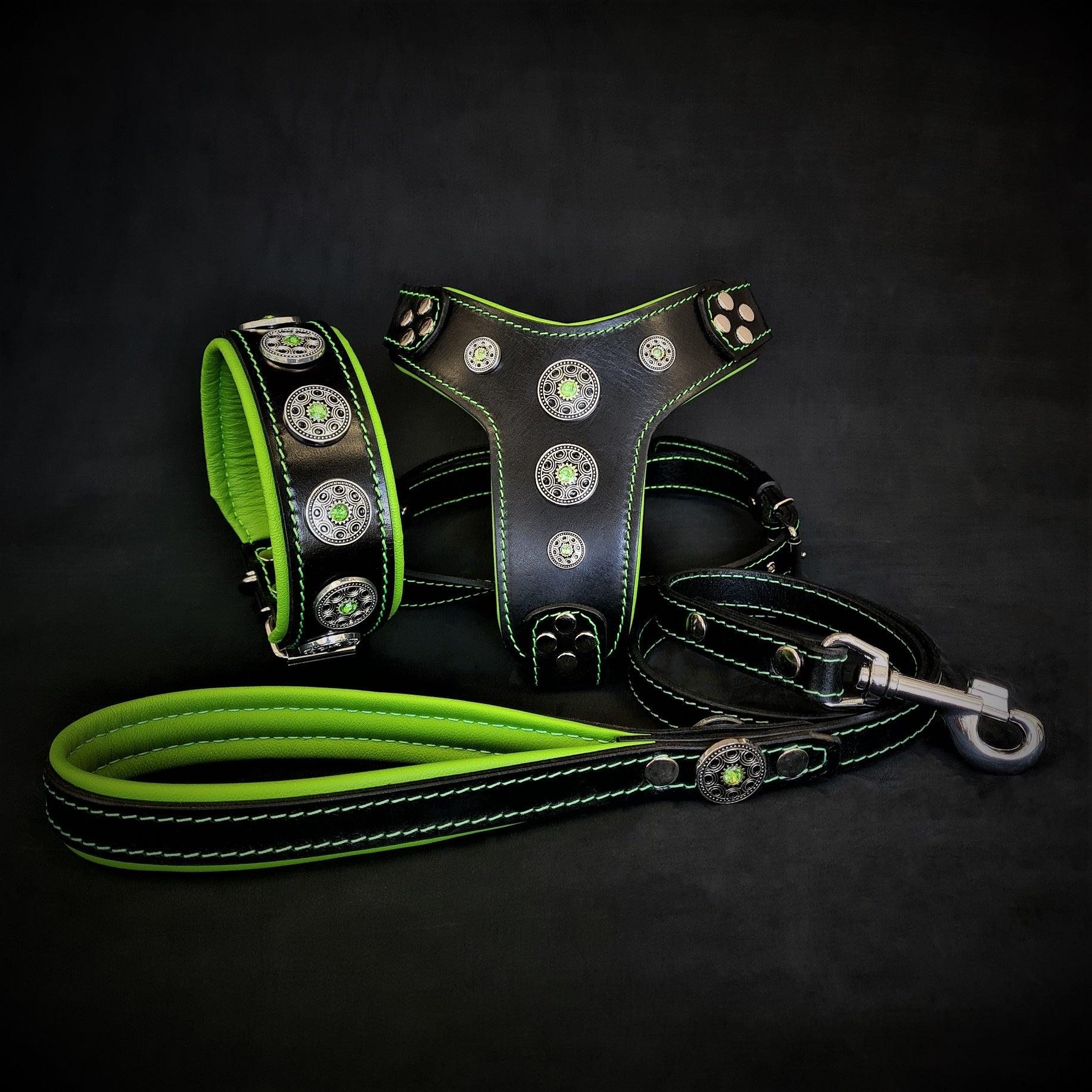 The "Bijou" Dog SET - Collar - Harness - Leash. Green