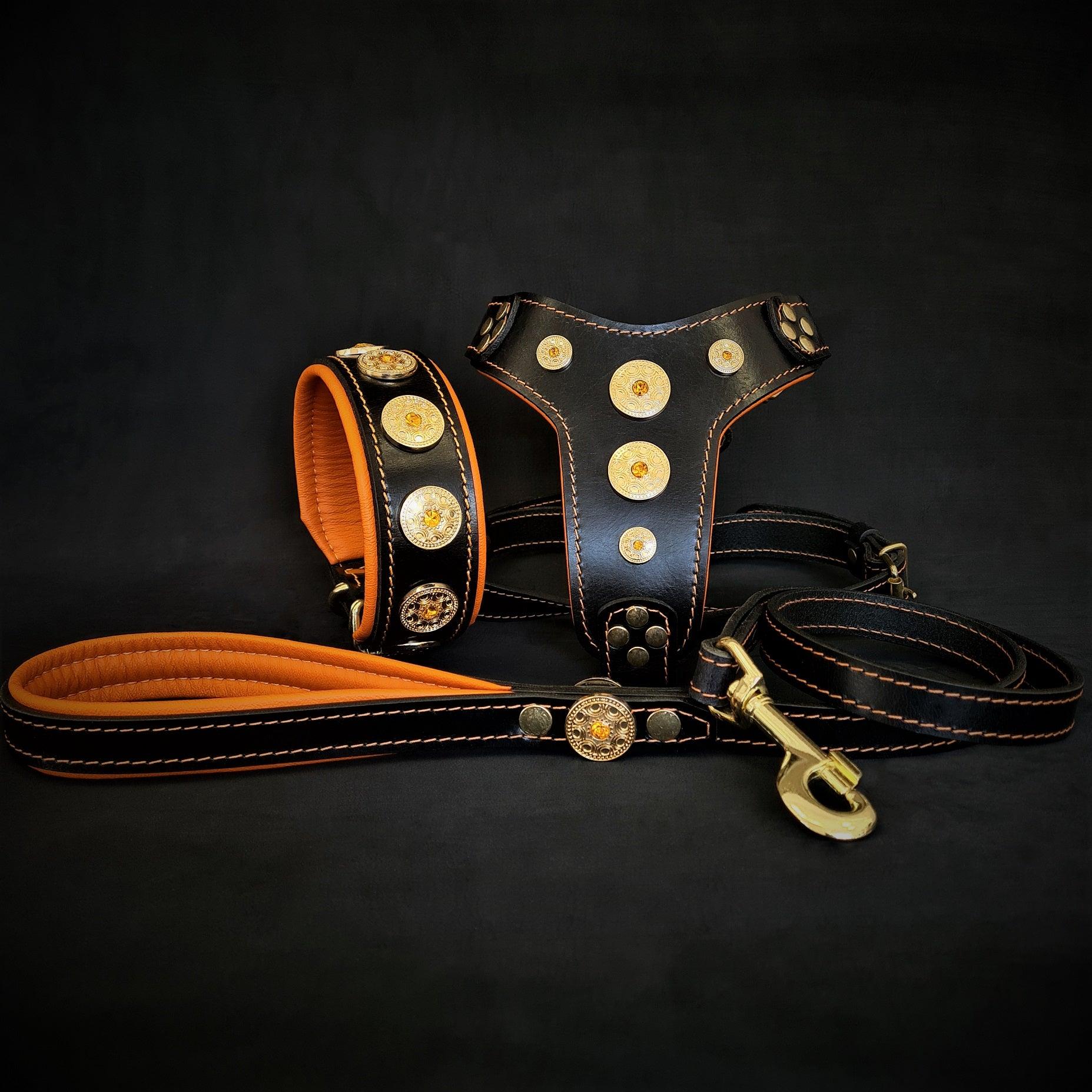 The "Bijou" Dog SET - Collar - Harness - Leash. Orange