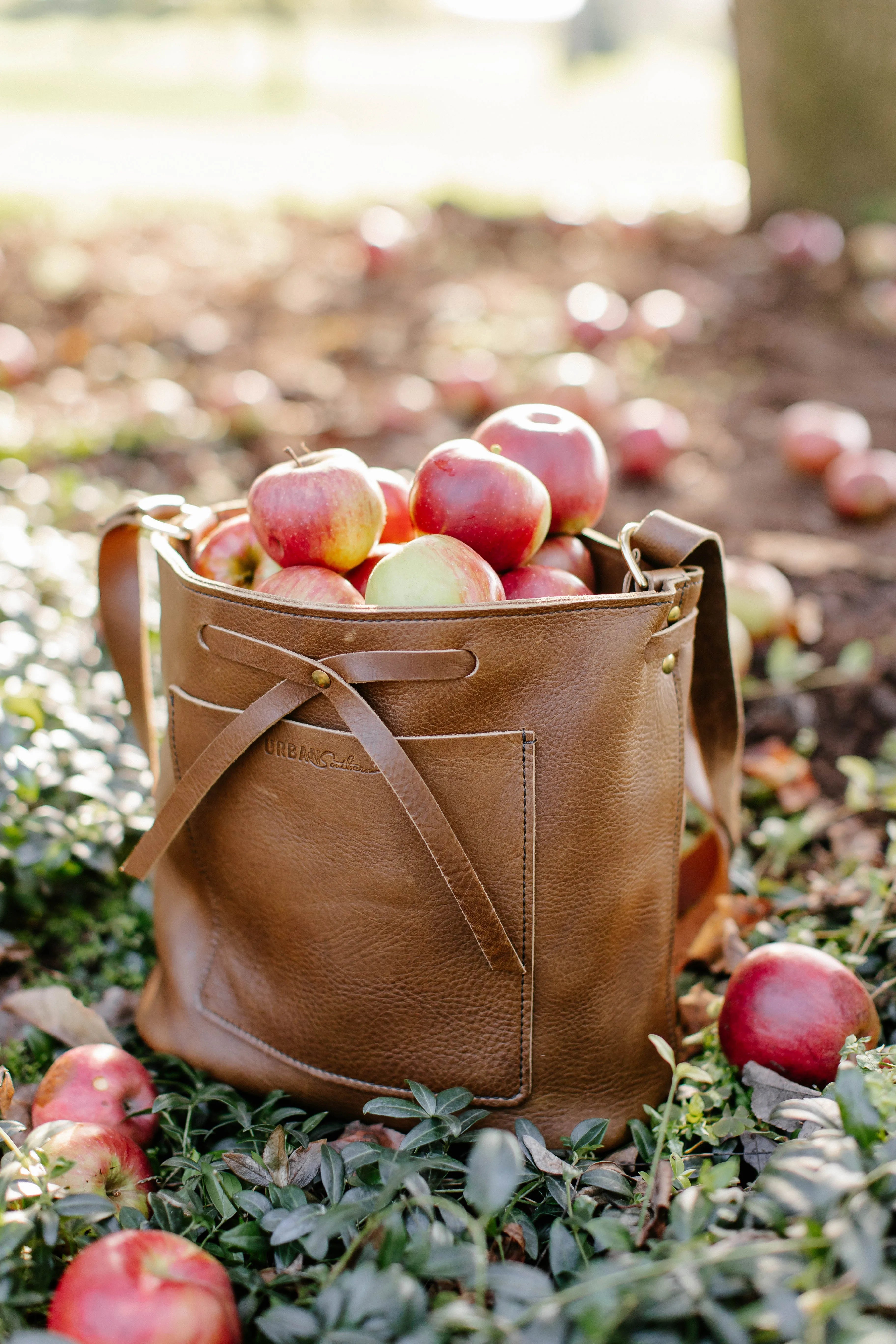 The Lexington Bow Crossbody Bag