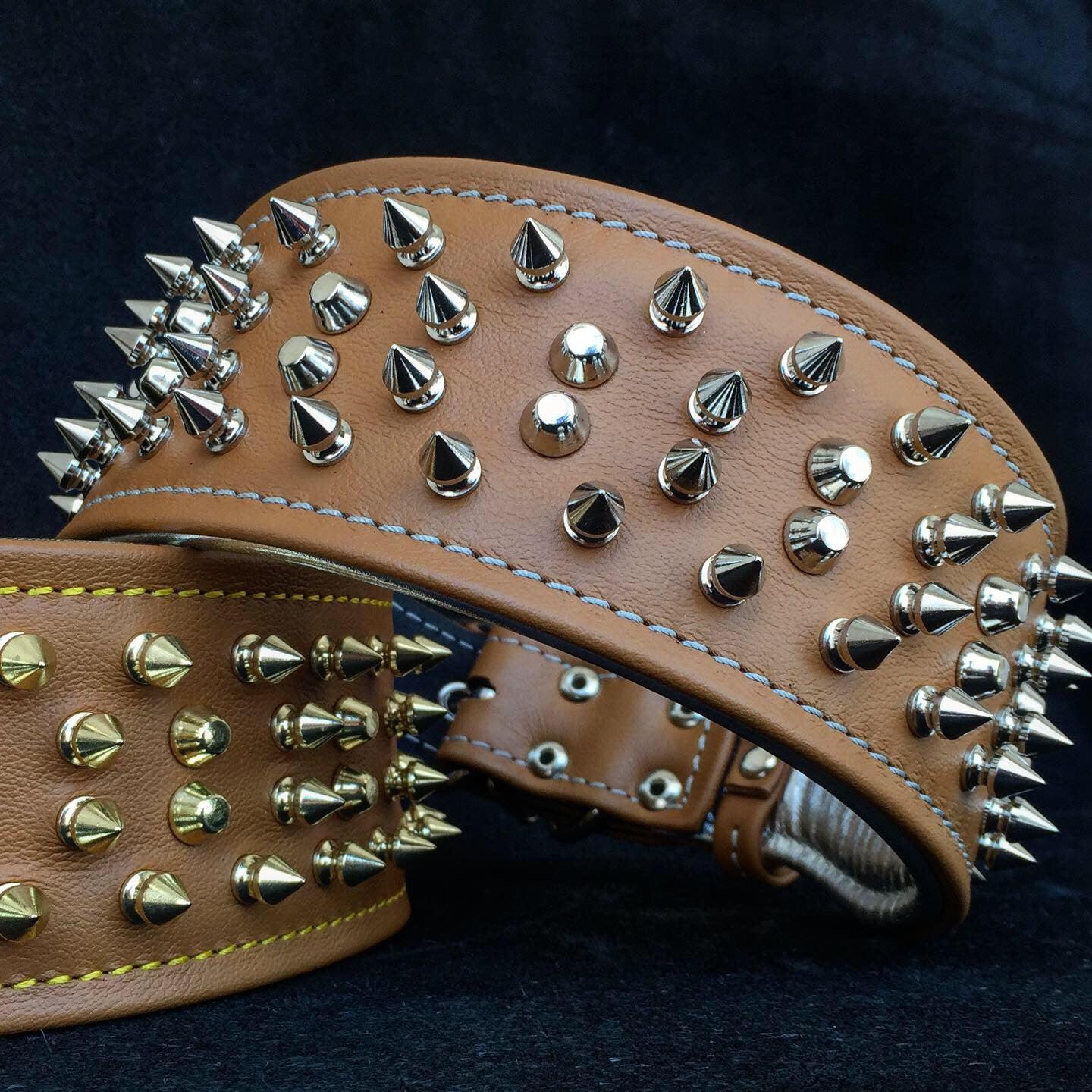 The "Crown" Dog Collar