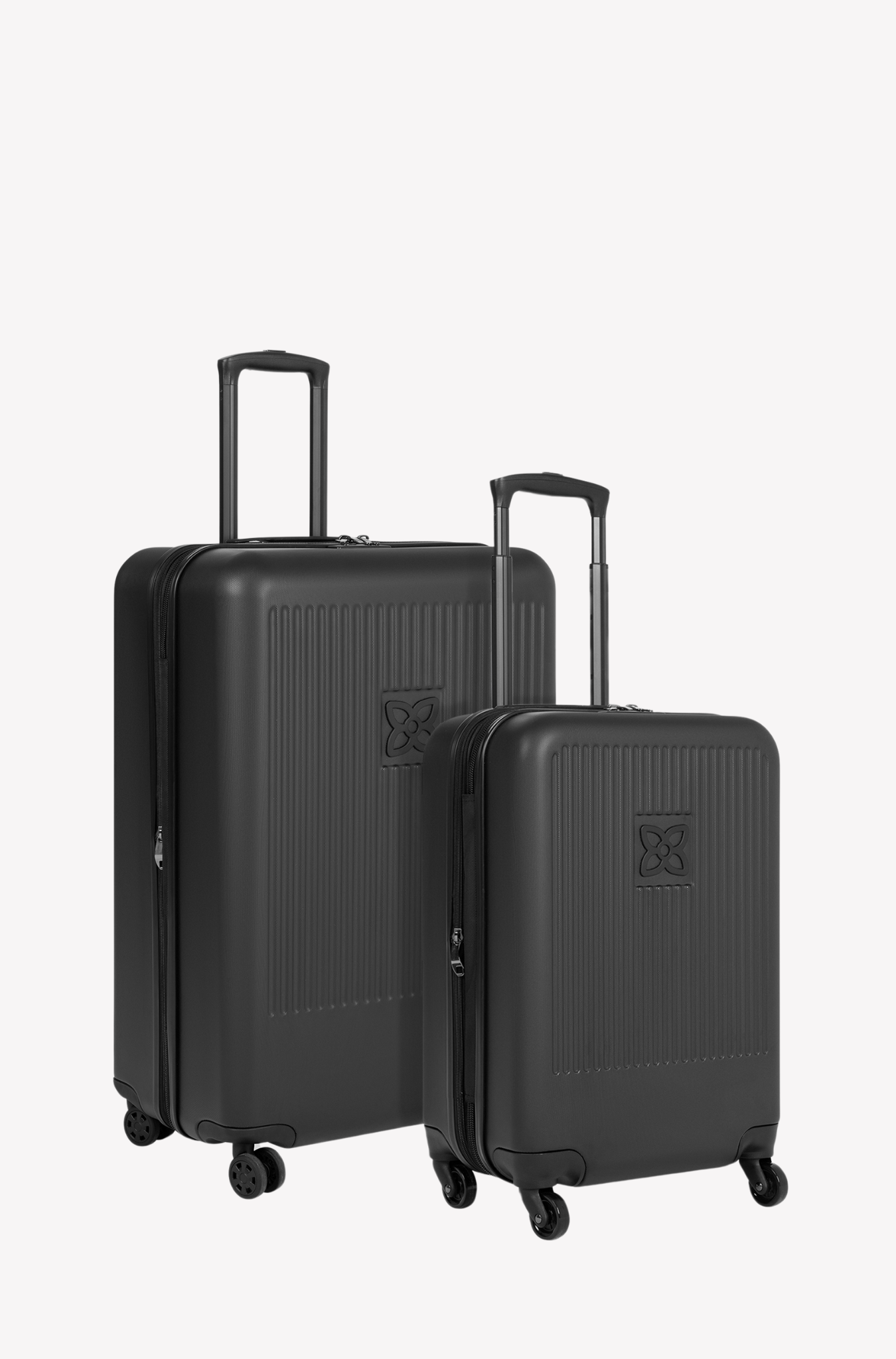 Meridian 2 Piece Luggage Set