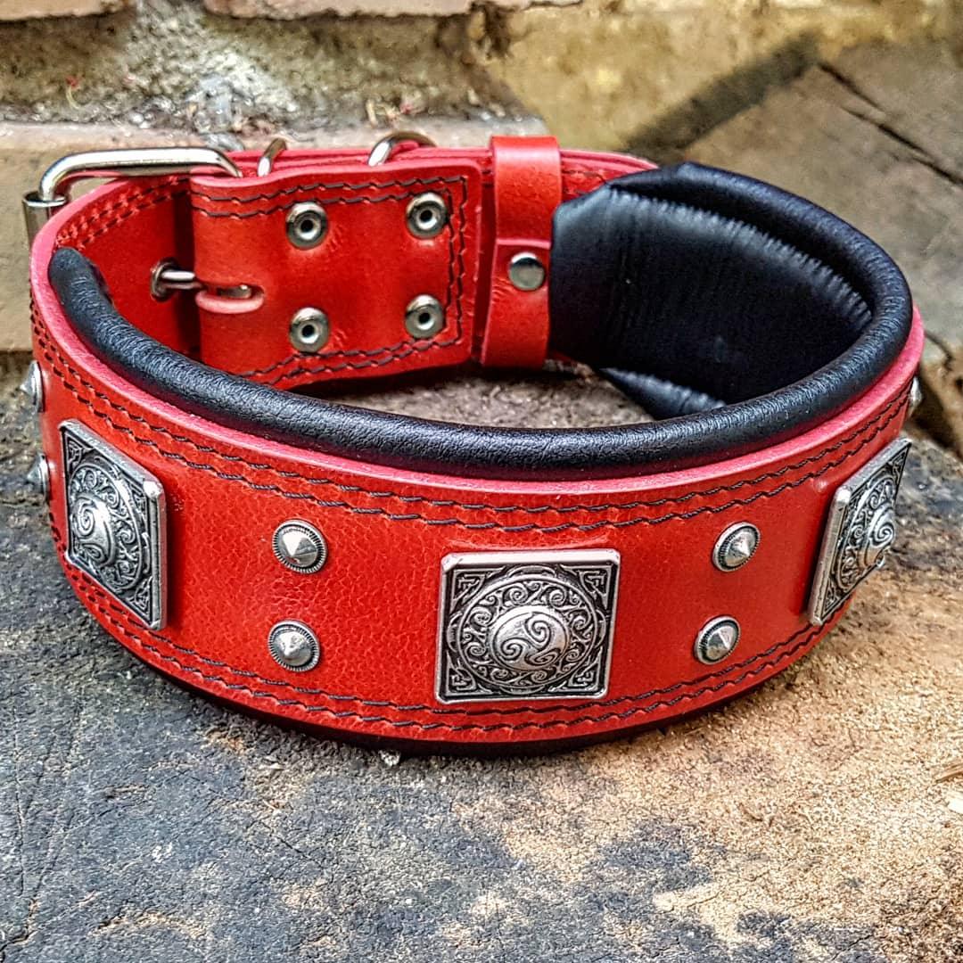 The "Eros" Dog Collar 2.5-inch Wide. Red