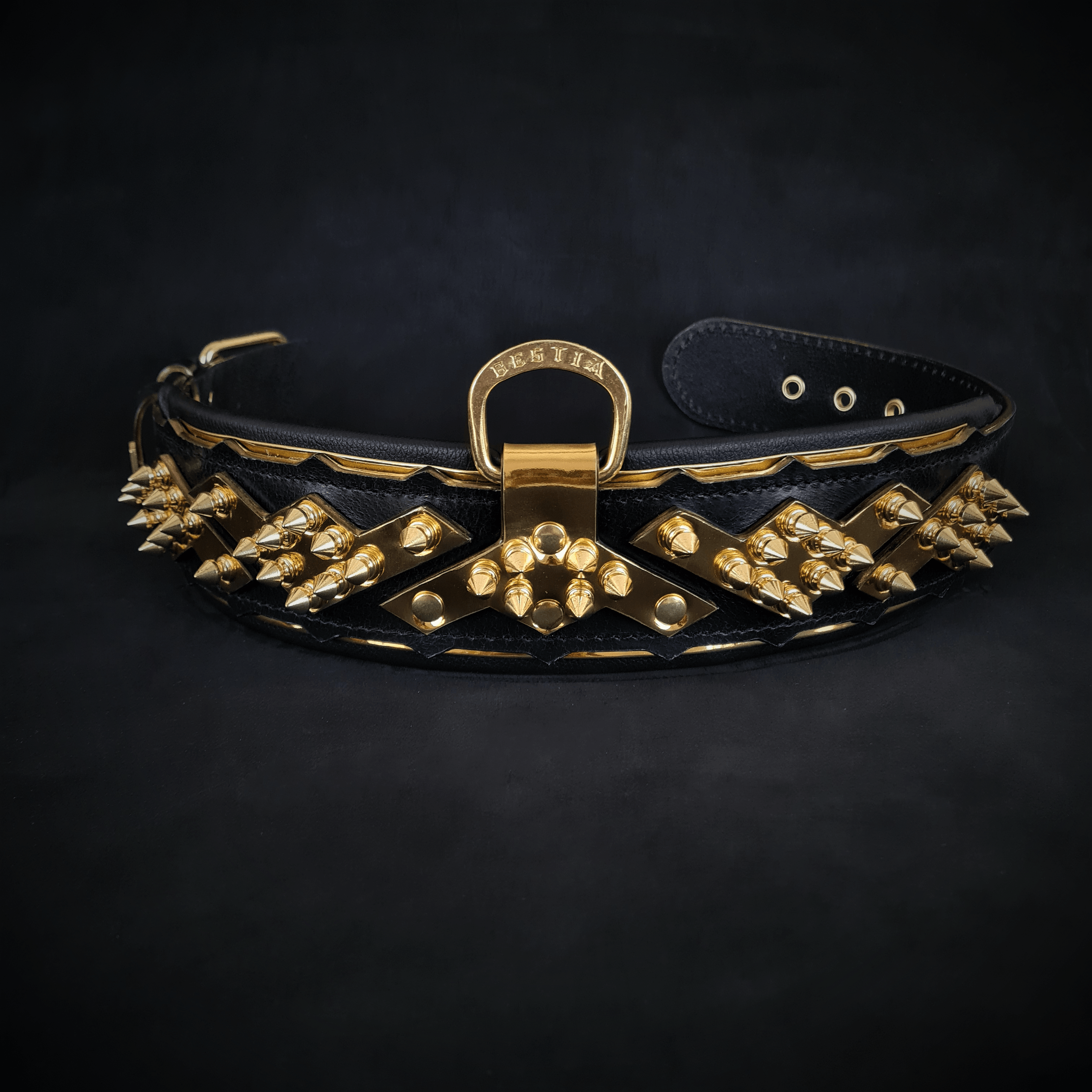 The "Midas" Dog Collar. Gold