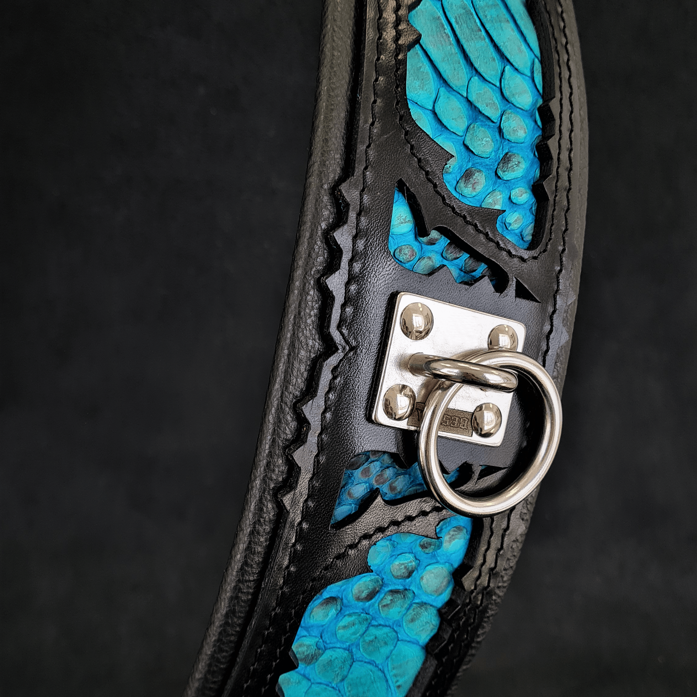 The "Morelia Python" Dog Collar
