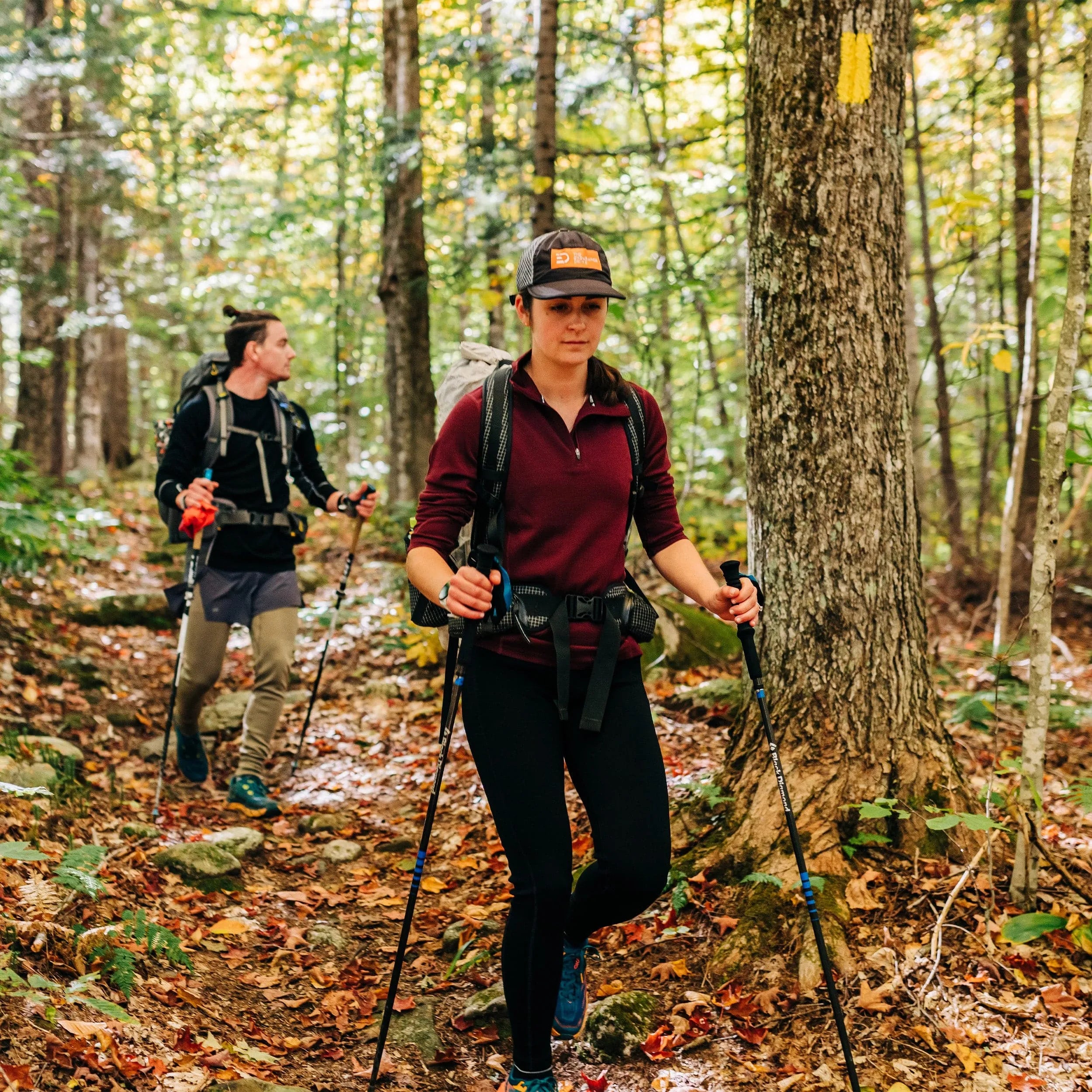 Sequoia Women's 1/4 Zip 100% Merino Wool