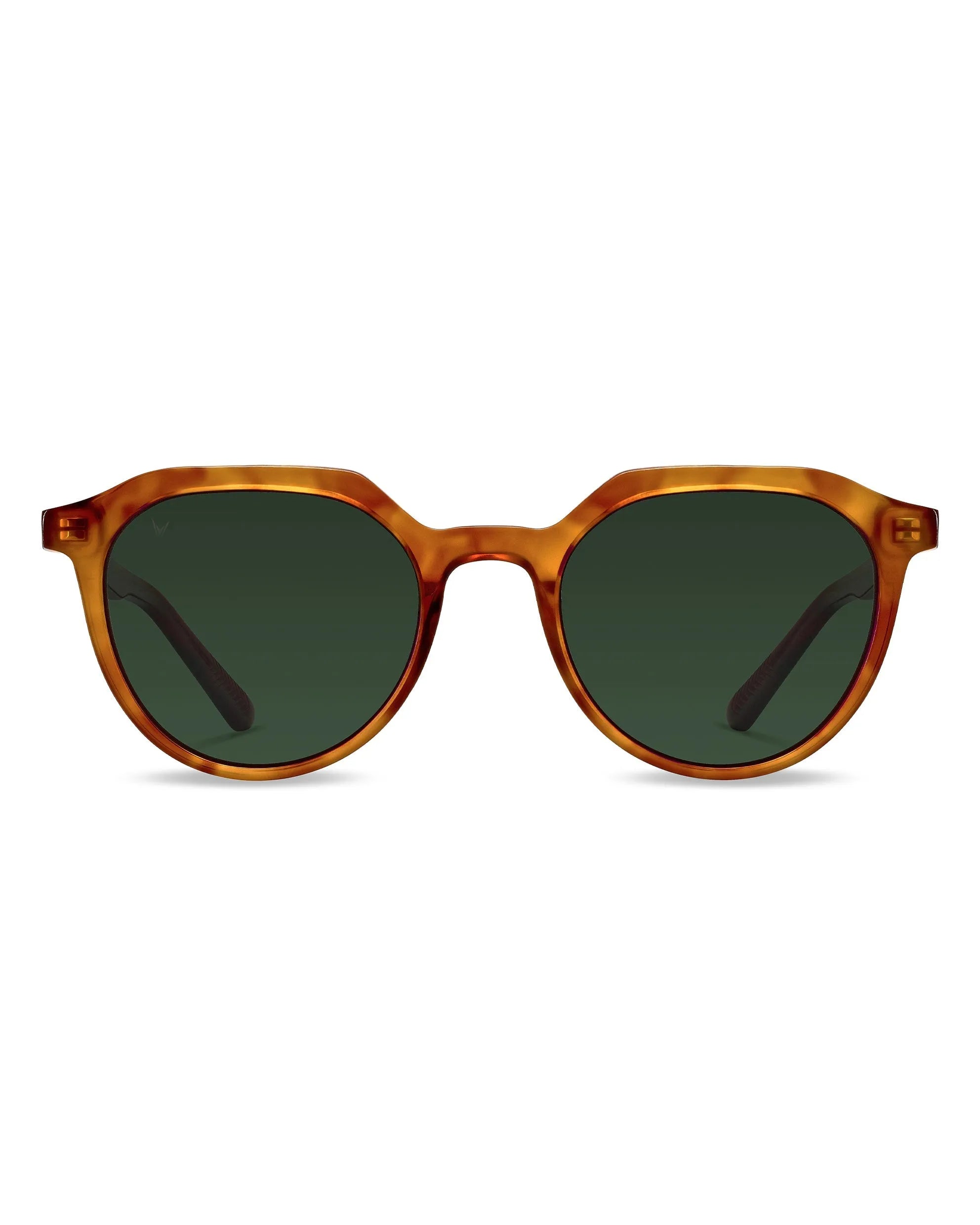 The Aiden Sunglasses - Honey Tort