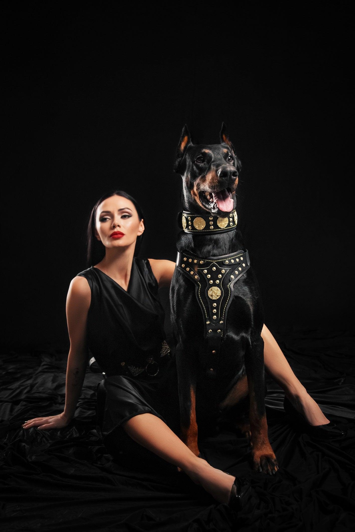 The "Maximus" Dog Harness V2