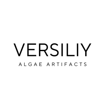 Versiliy
