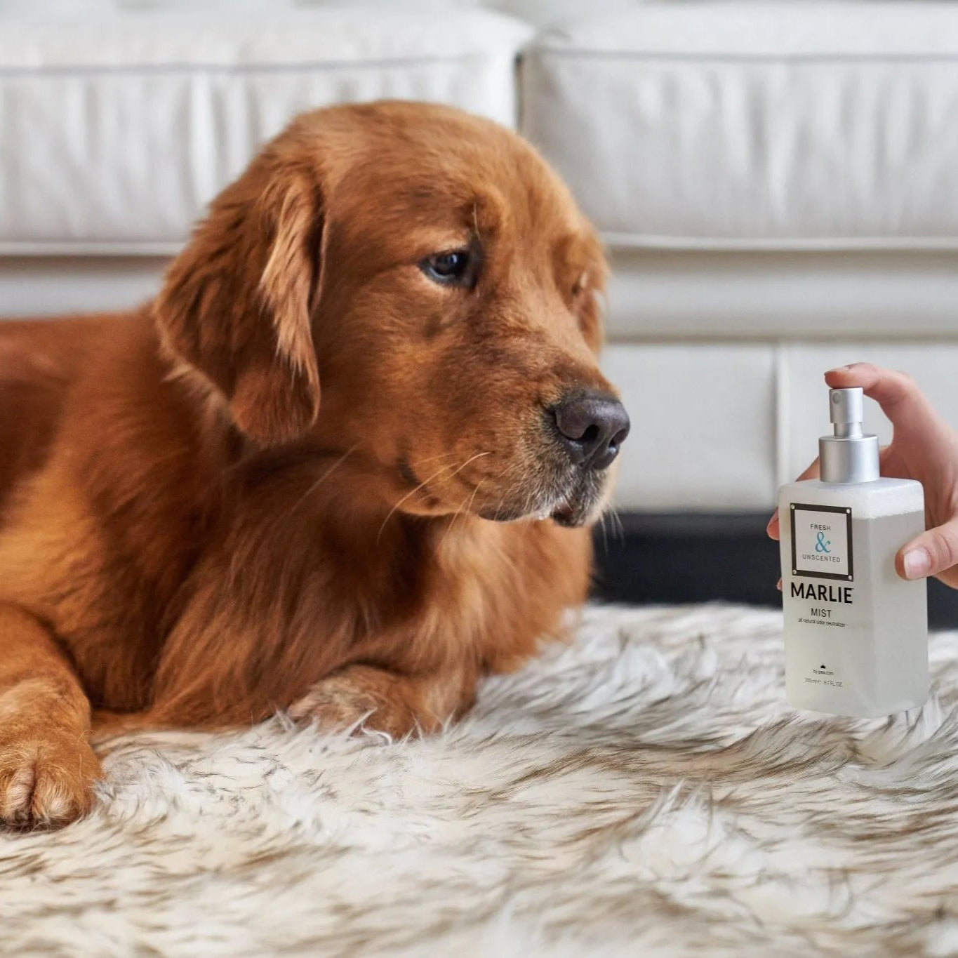 Marlie Mist Pet Odor Eliminator Spray with Essential Oils