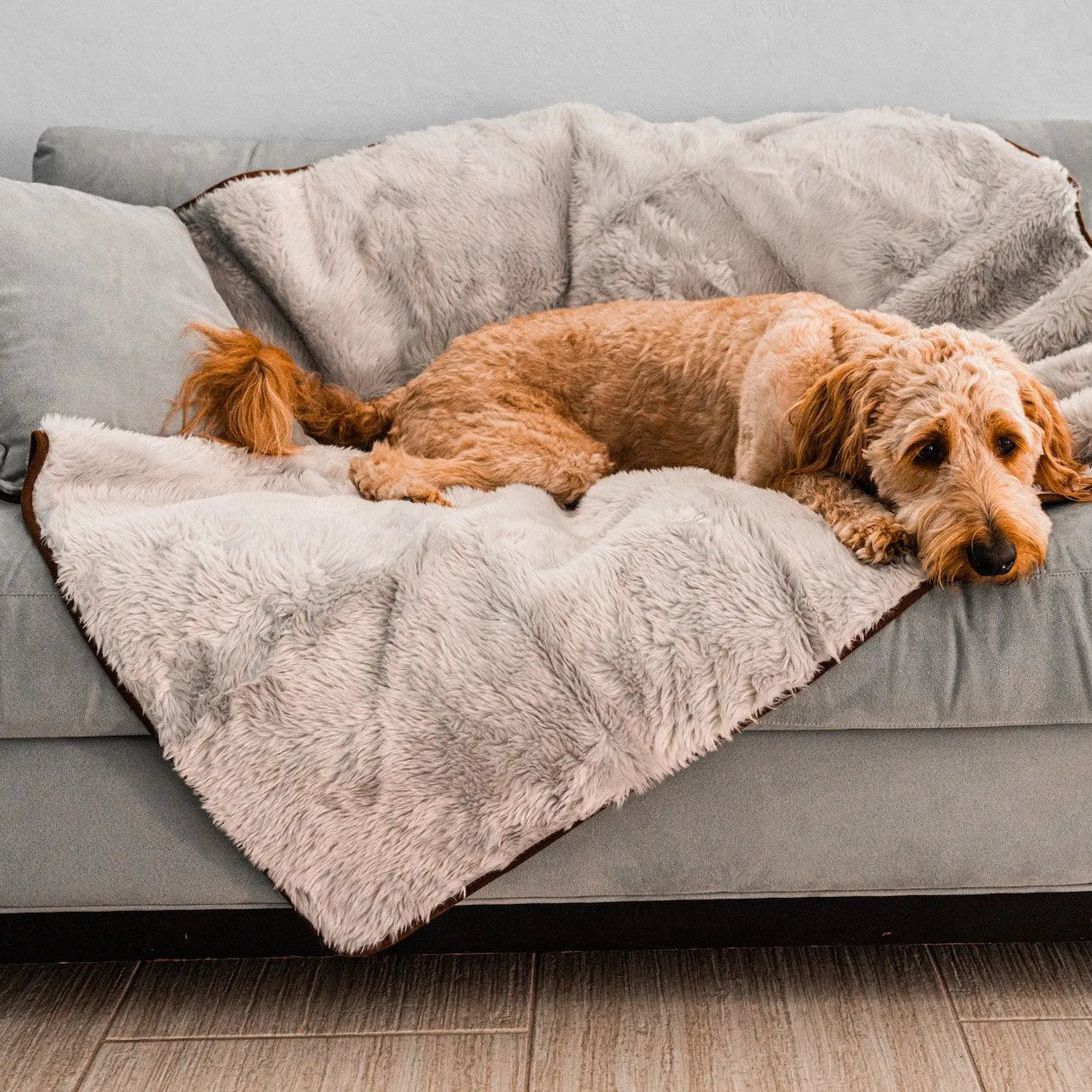 PupProtector™ Short Fur Waterproof Throw Blanket - Grey