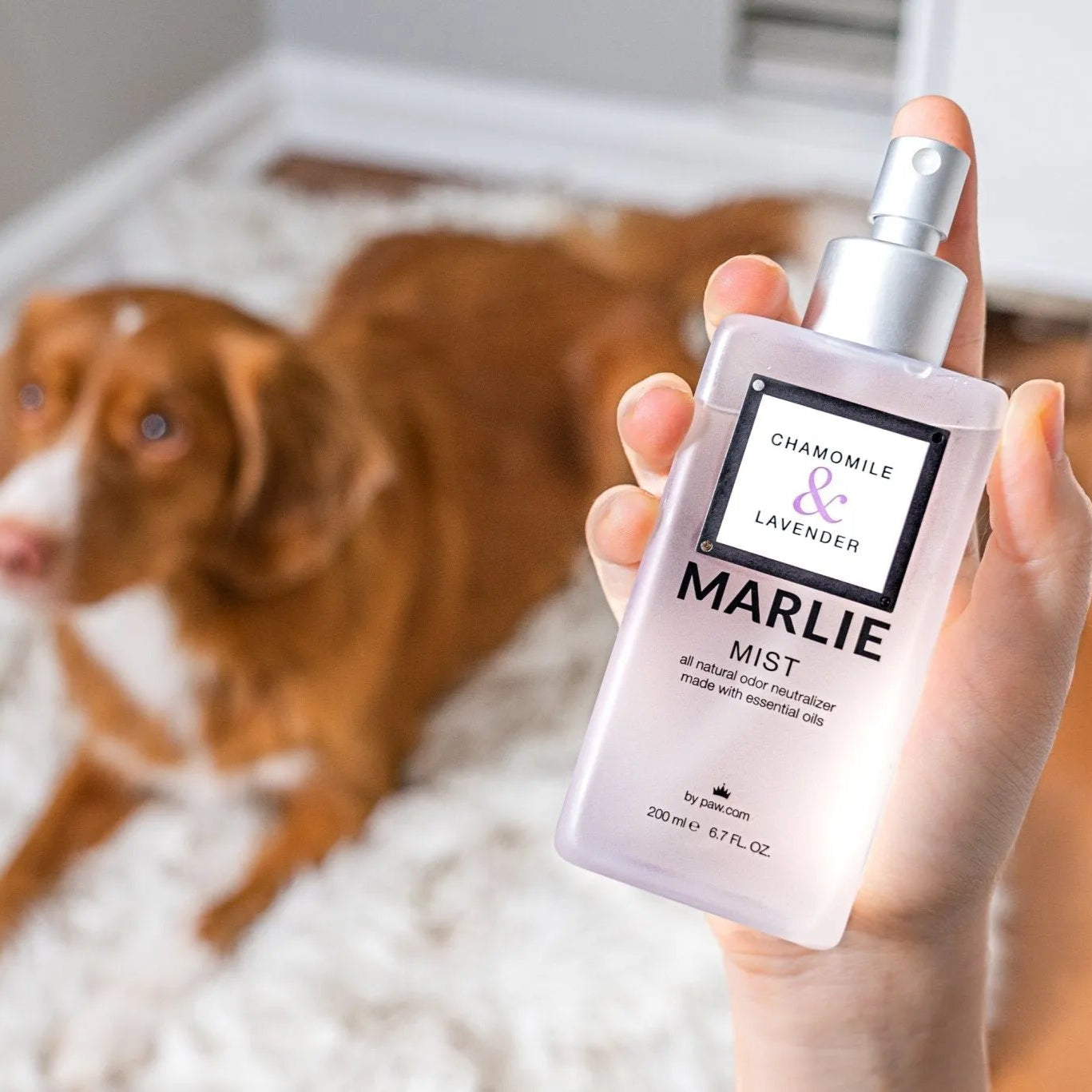Marlie Mist Pet Odor Eliminator Spray with Essential Oils