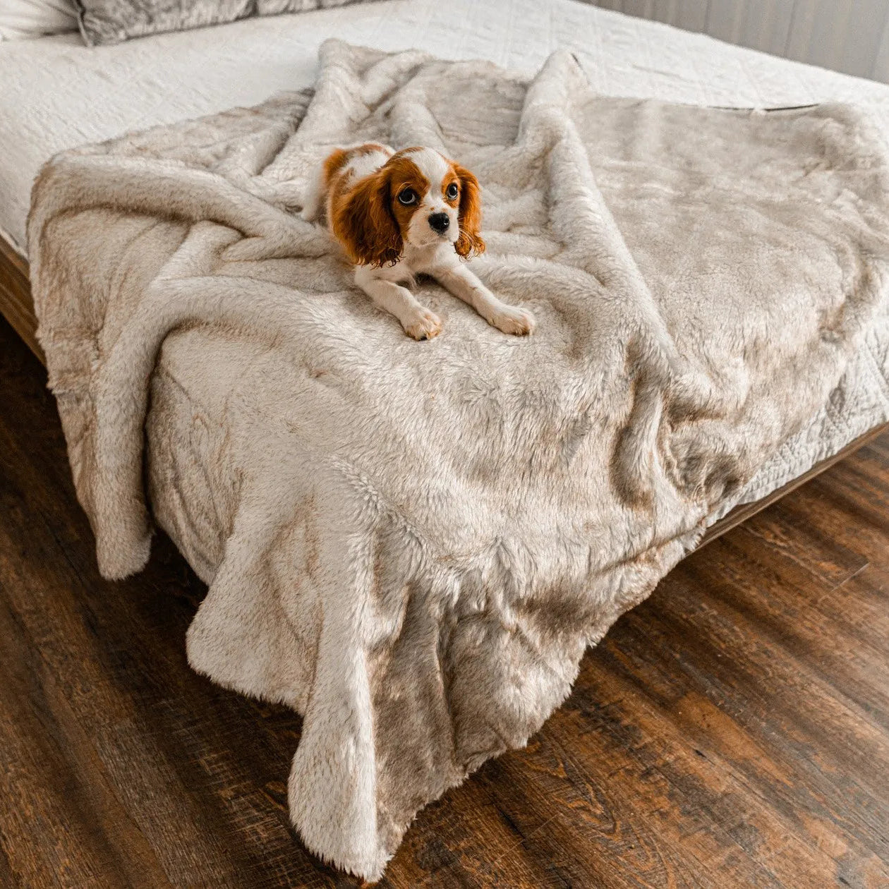PupProtector™ Short Fur Waterproof Throw Blanket - White with Brown Accents