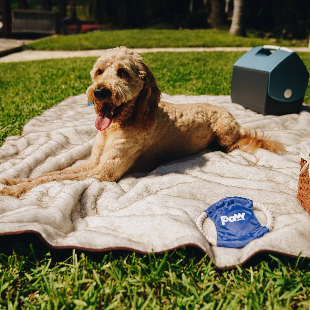 PupProtector™ Short Fur Waterproof Throw Blanket - White with Brown Accents
