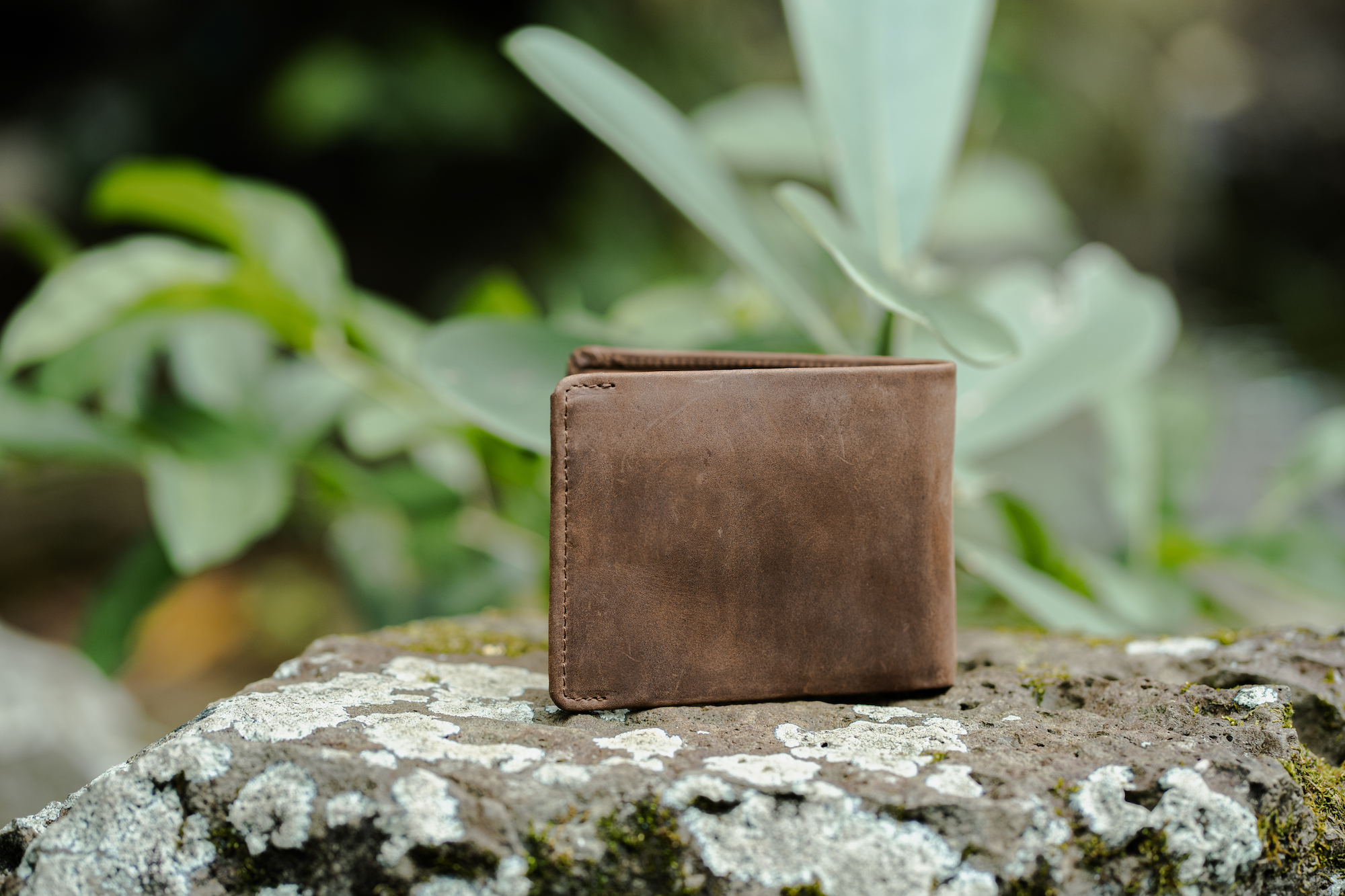 Kailua Men's Bifold Wallet