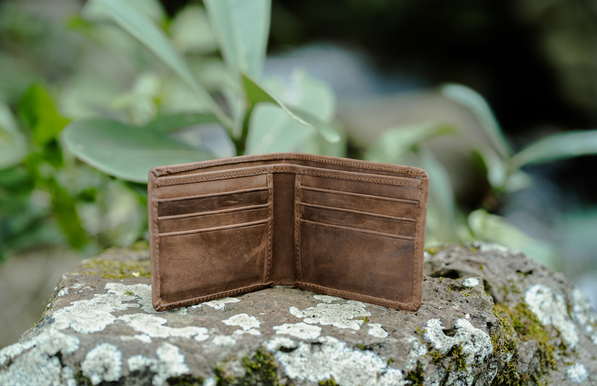 Kailua Men's Bifold Wallet
