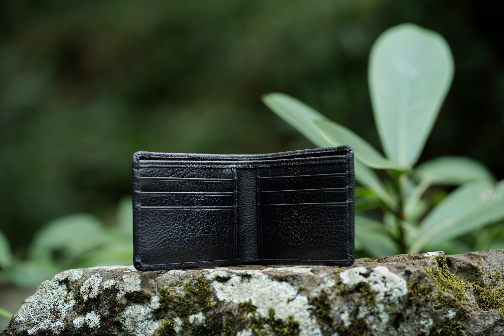 Kailua Men's Bifold Wallet