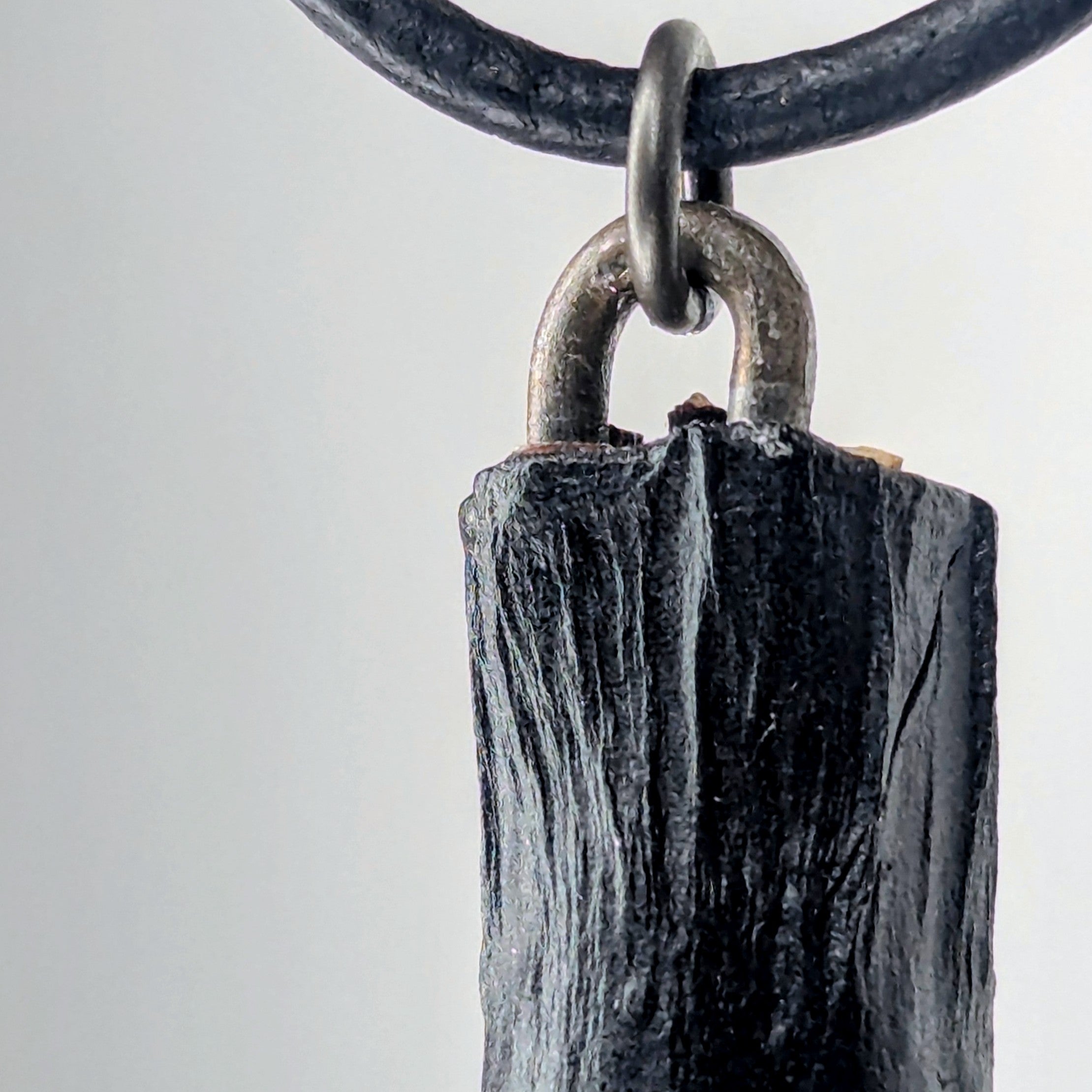 Desmophycra Pendant Necklace