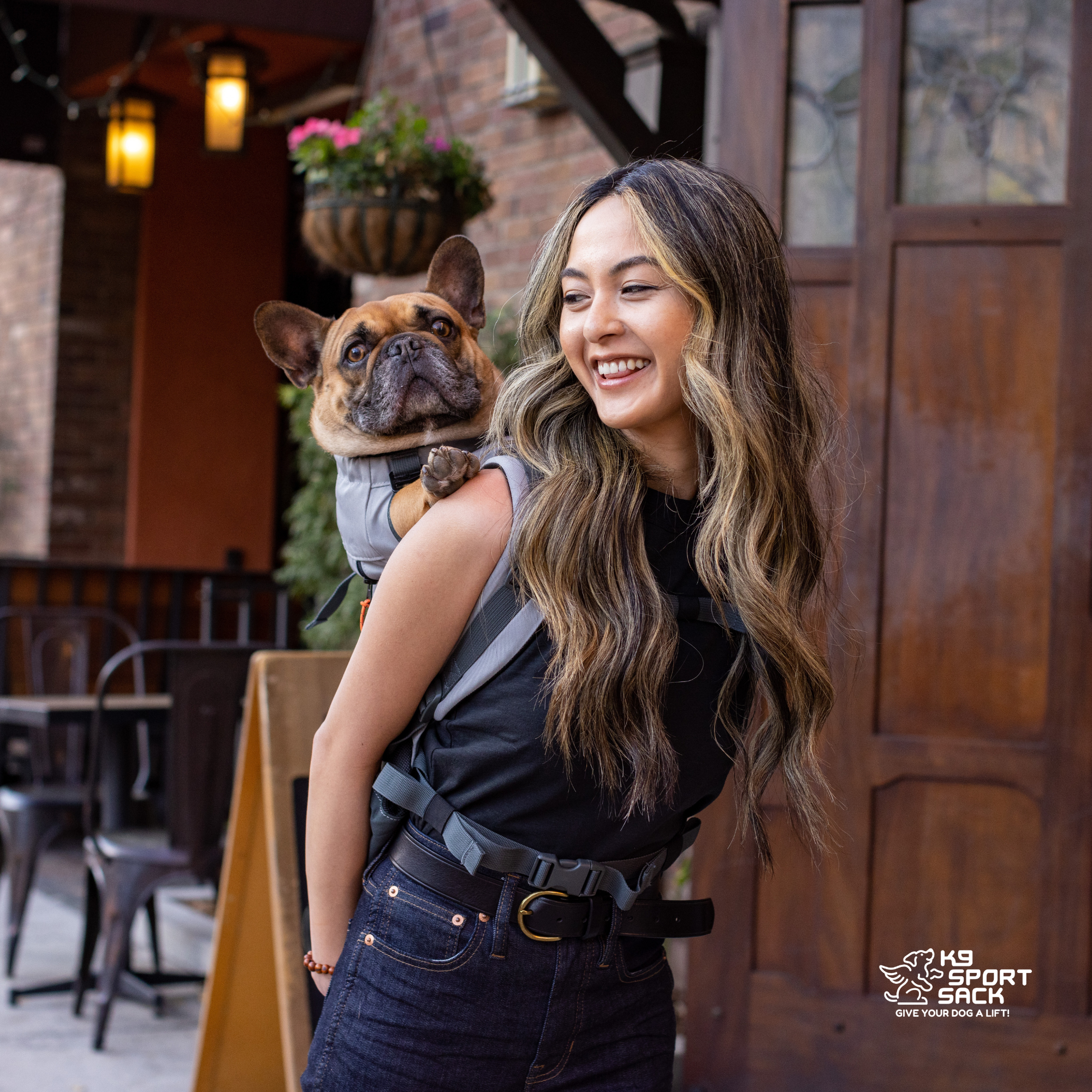 Urban 3 | Dual Use Dog Carrier & Traditional Backpack