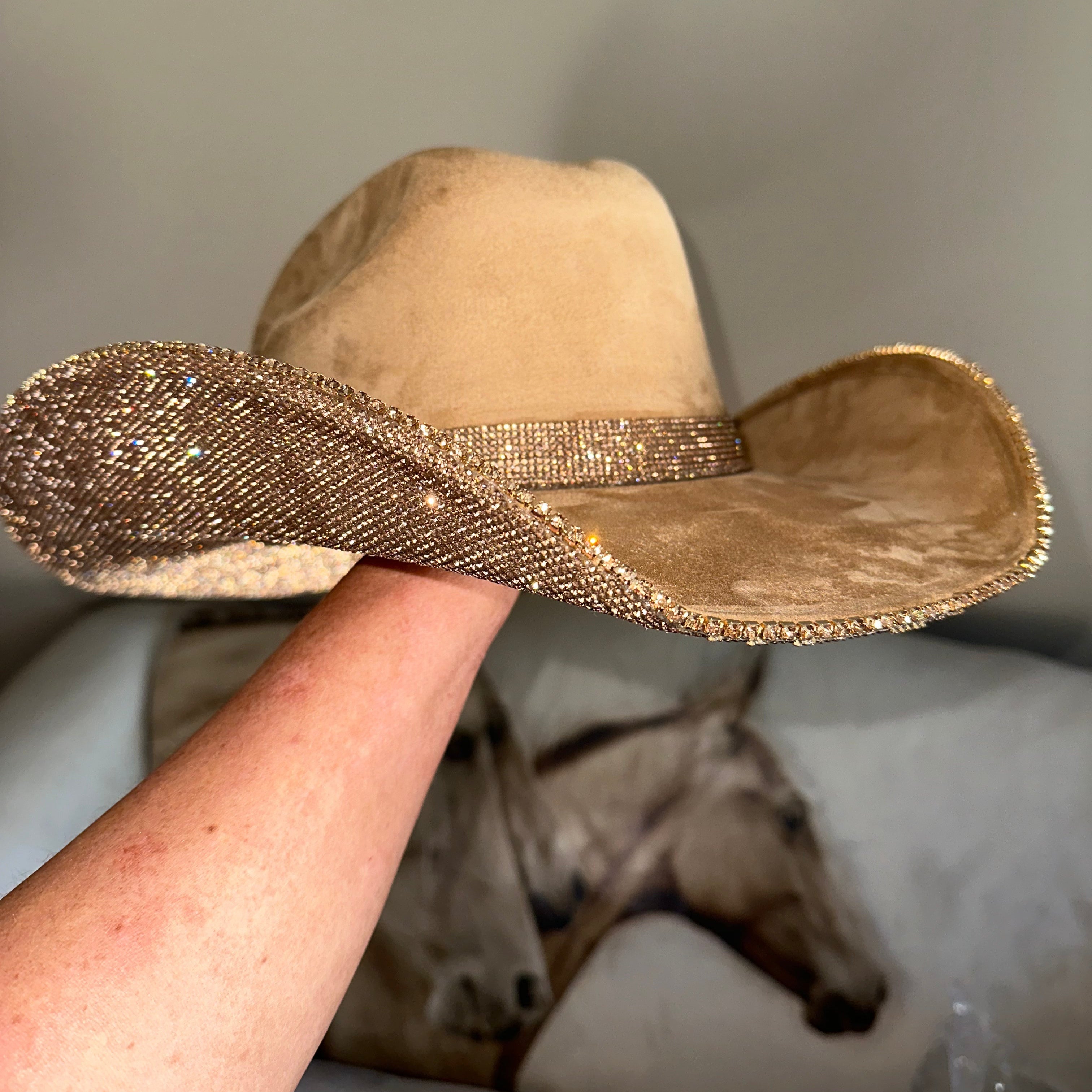 Beige cowboy hat with a wide brim held by a hand against a neutral background