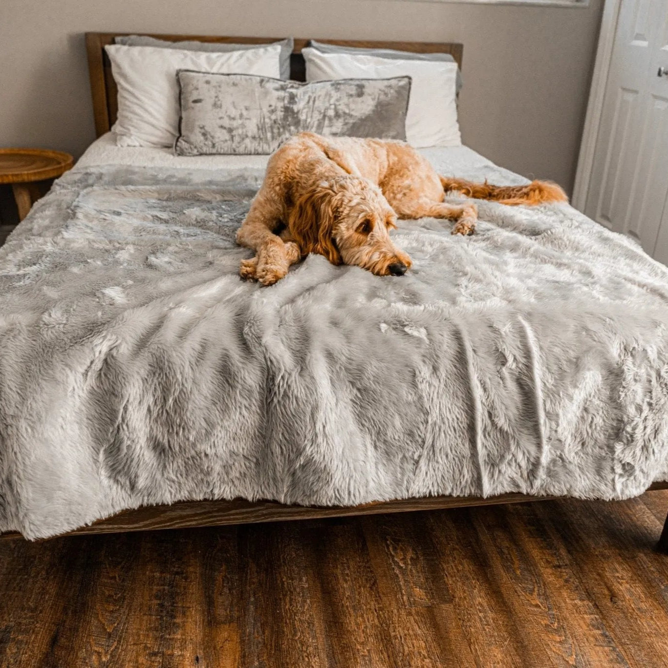 PupProtector™ Short Fur Waterproof Throw Blanket - Grey