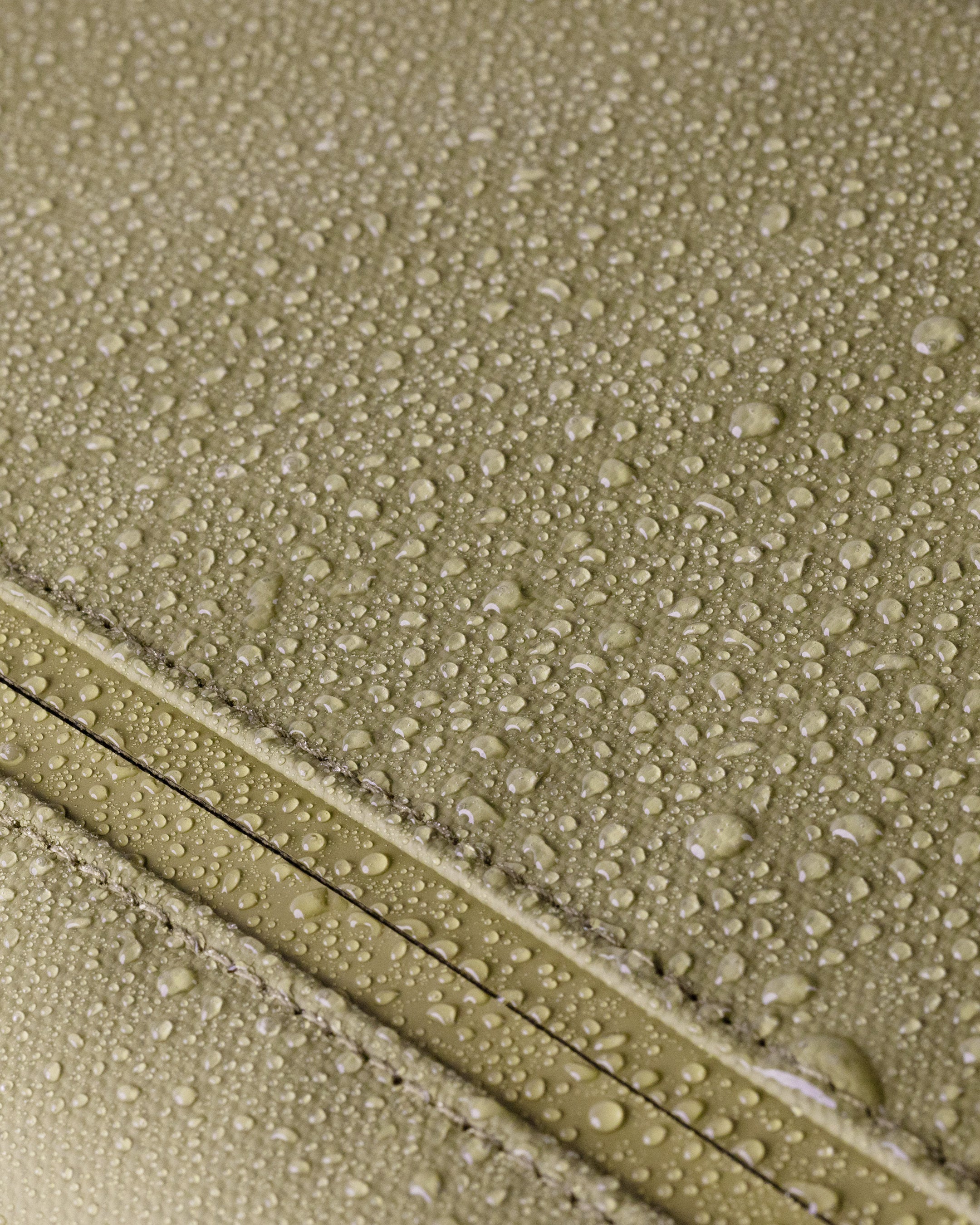 Cascade 21L Backpack - Standard