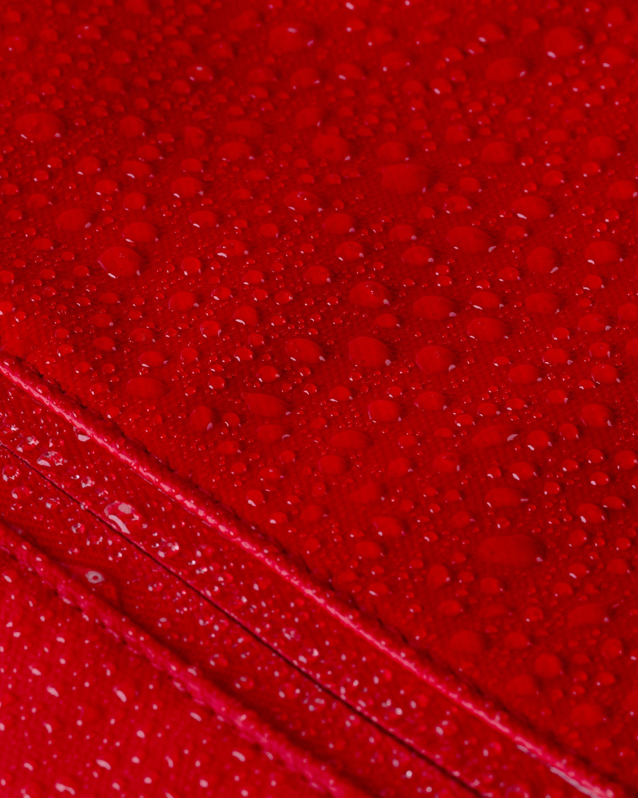 Cascade Backpack - Compact