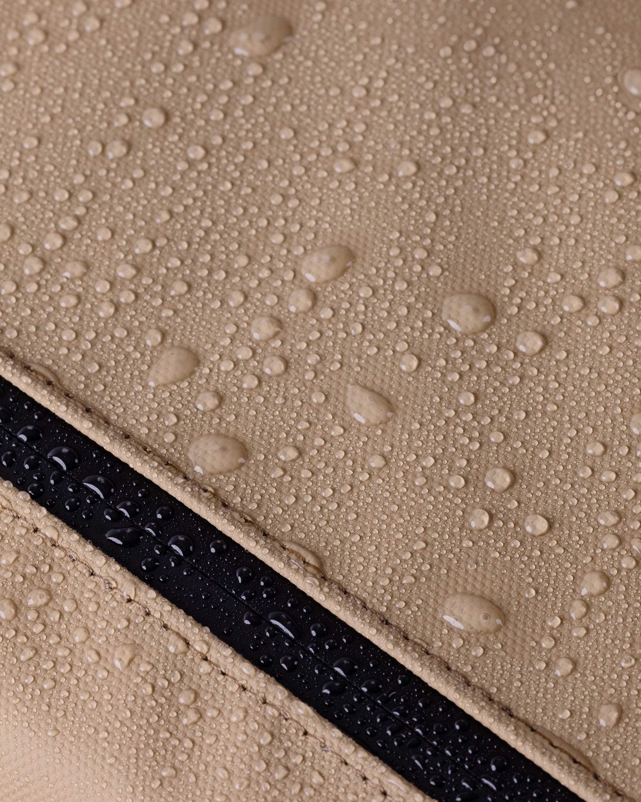 Cascade 21L Backpack - Standard