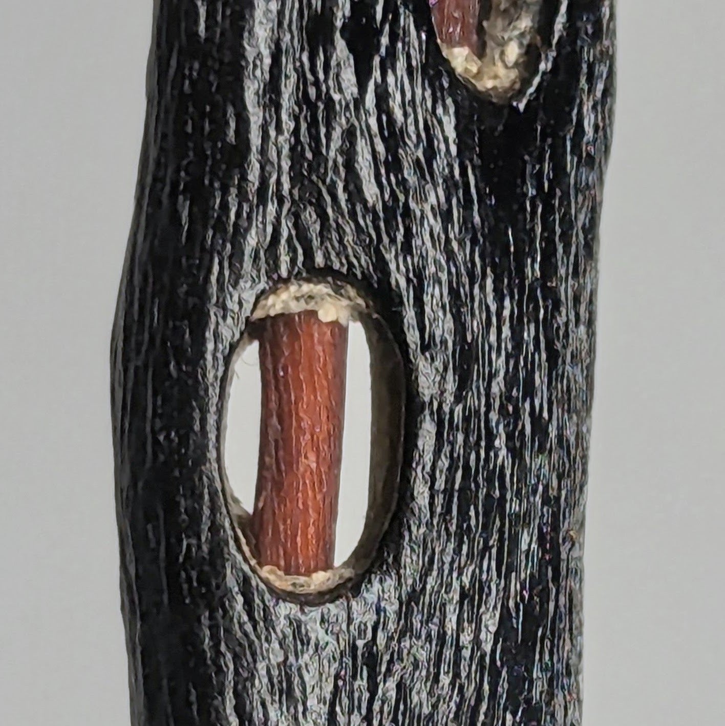 Chordis Pendant Necklace