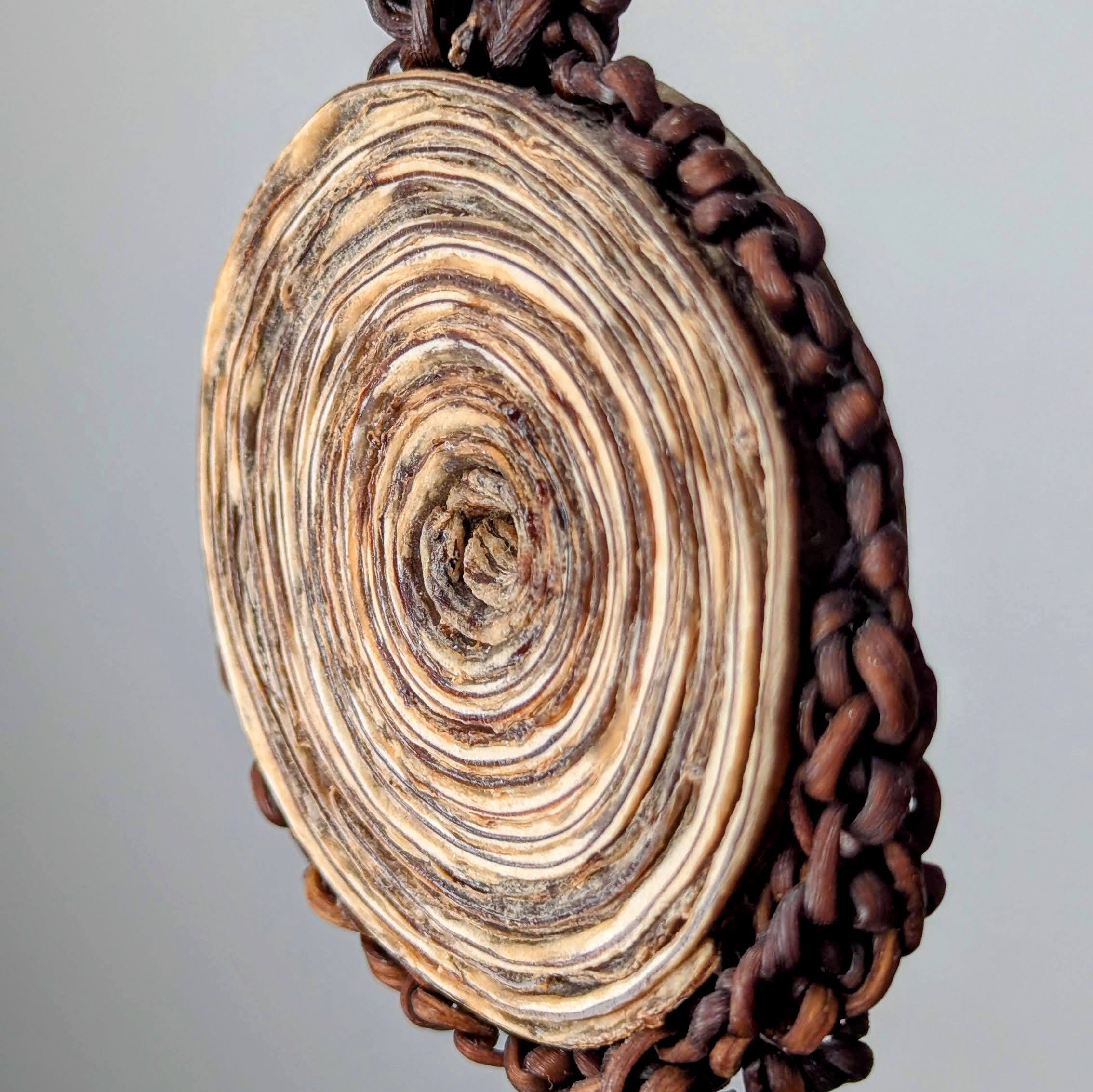 Ascorythrix Pendant Necklace