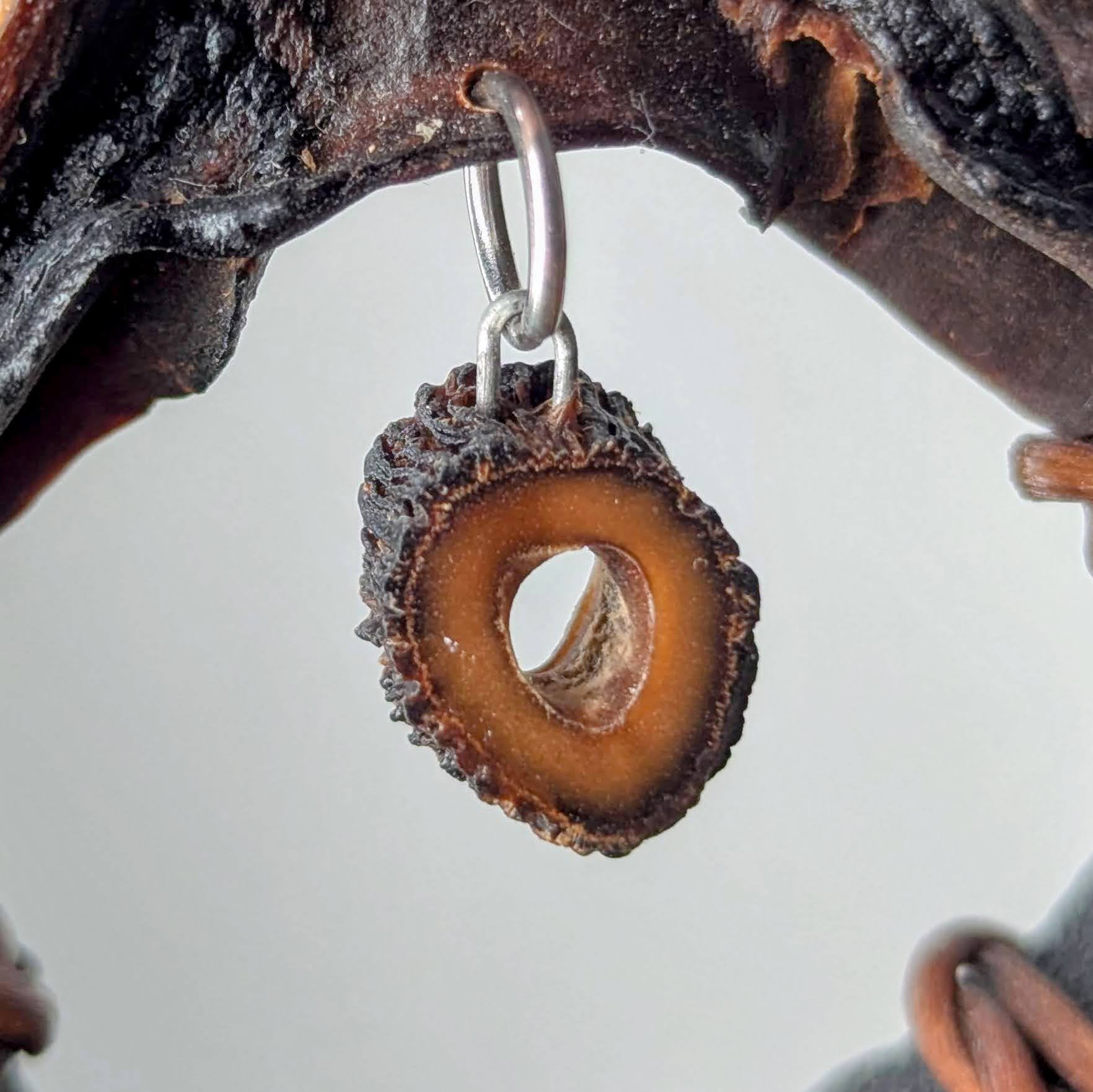 Sarcolaria Pendant Necklace