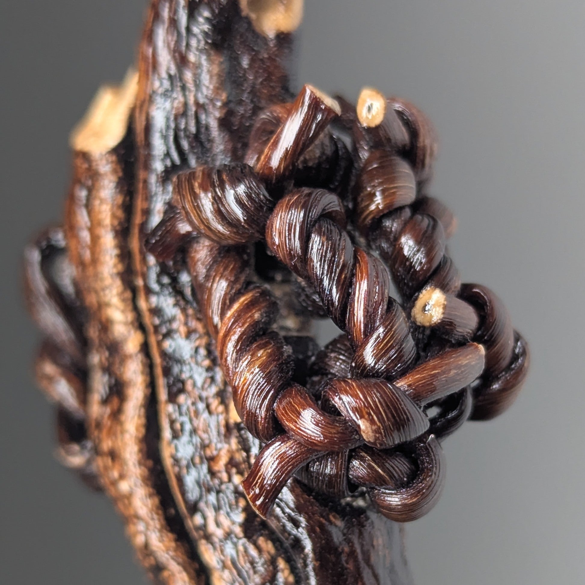 Padocystis Pendant Necklace