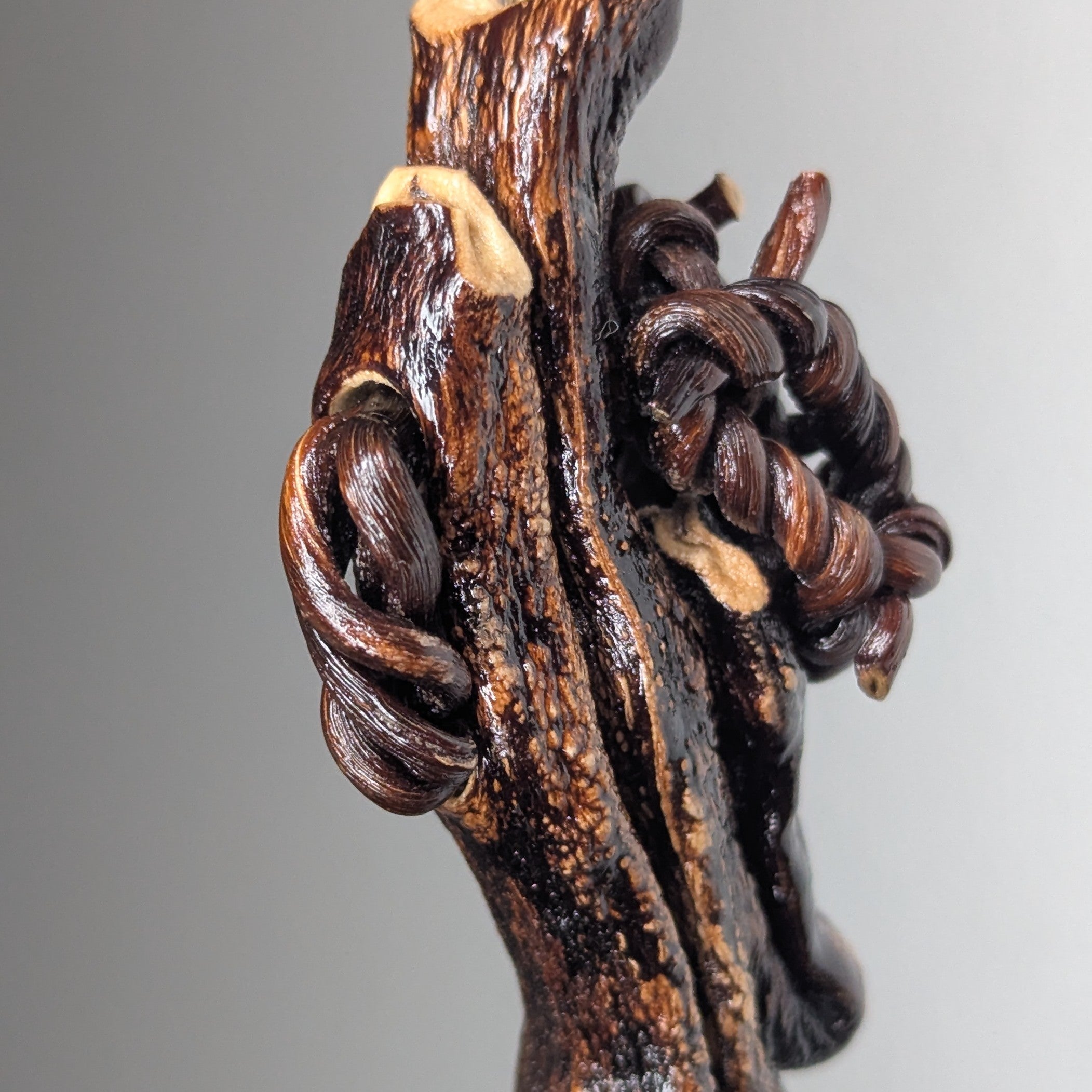 Padocystis Pendant Necklace