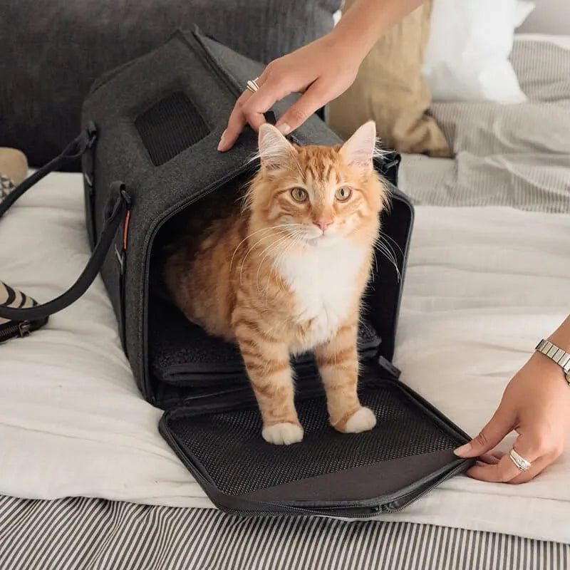 Porto Cat Carrier