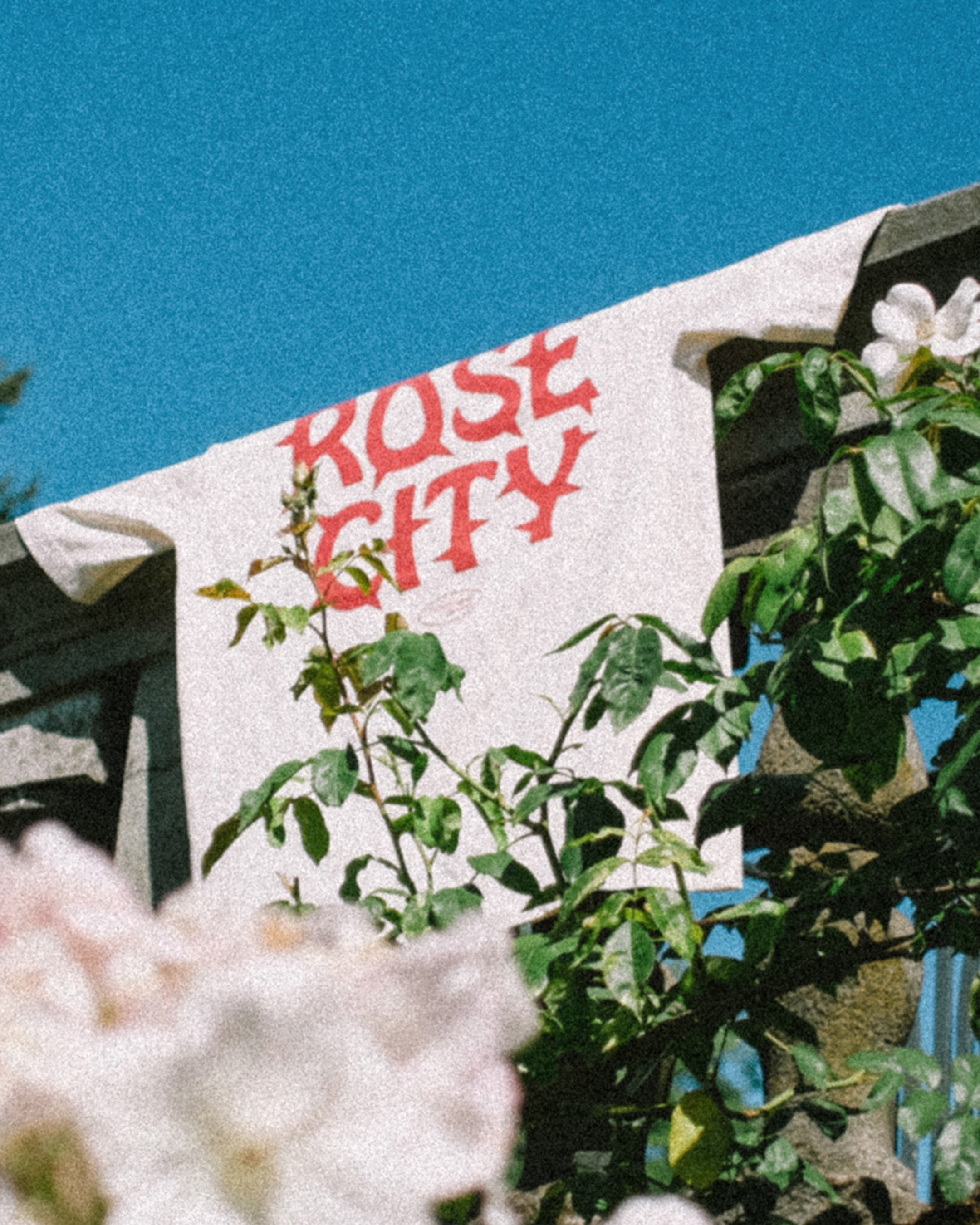 All-American Thorn Tee - Cream