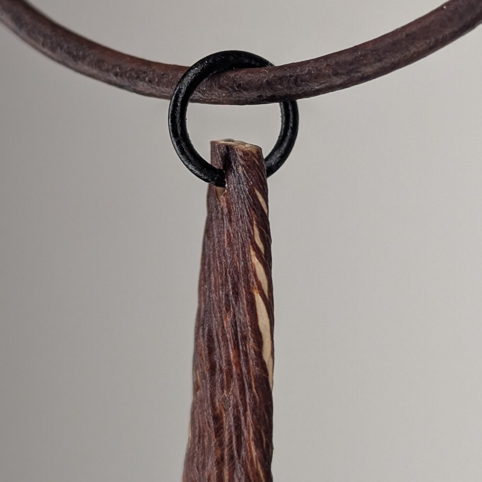 Saccharionyx Pendant Necklace