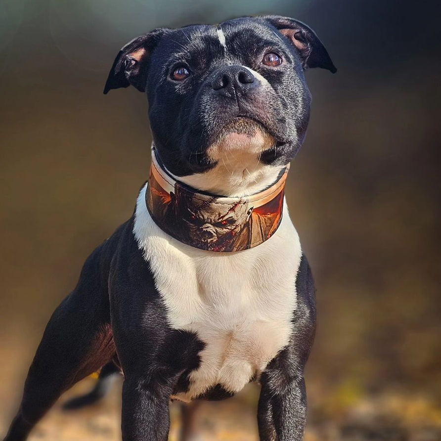 The "Scare" Dog Collar Limited