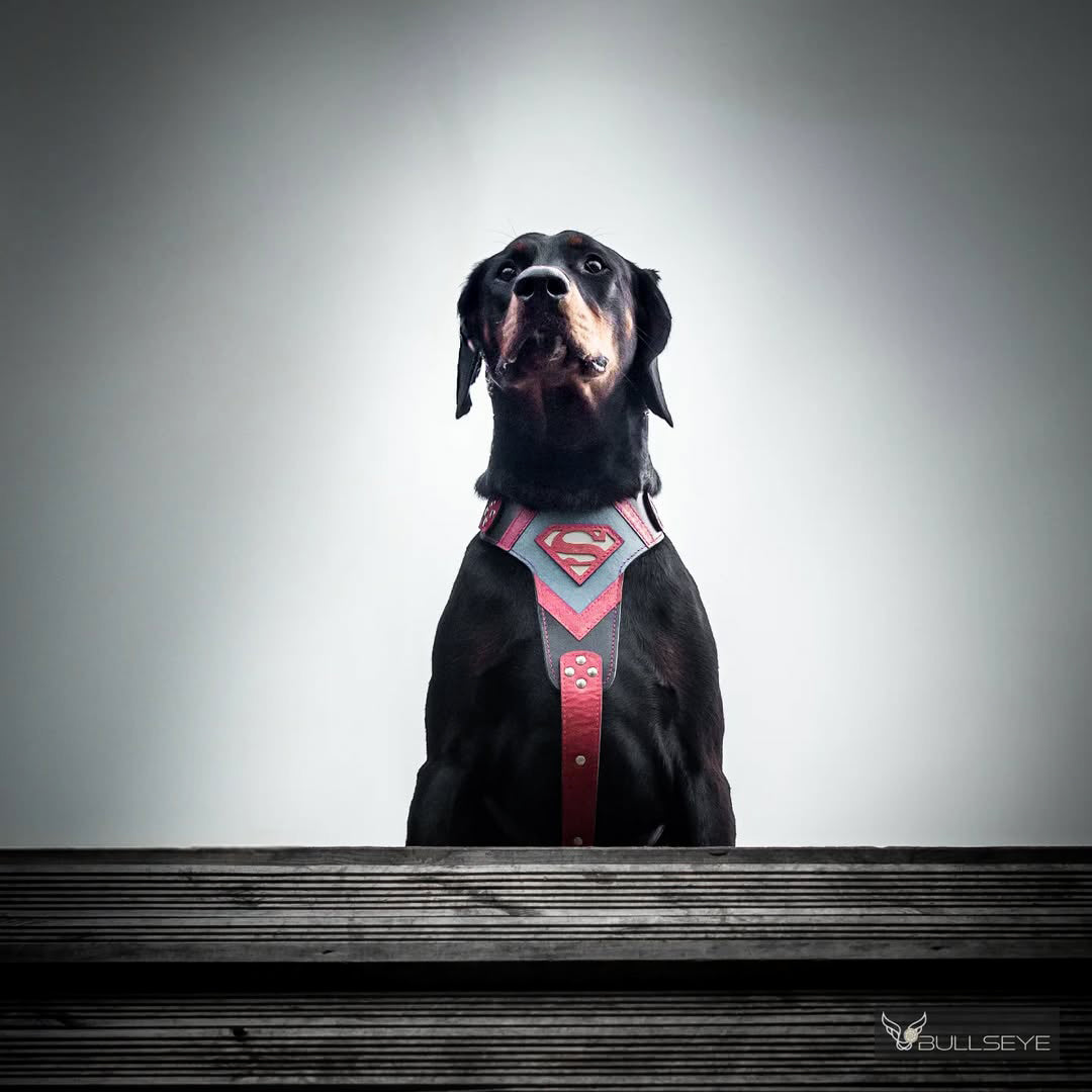 "Superdog" Dog Harness