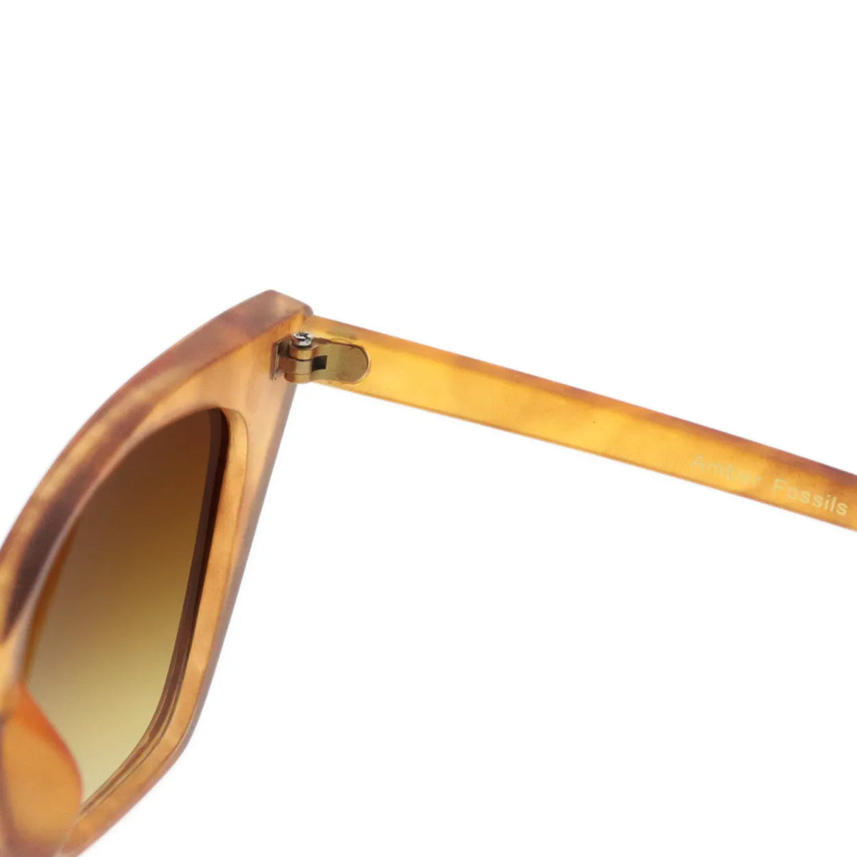 Nature Sunglasses - Amber Fossils