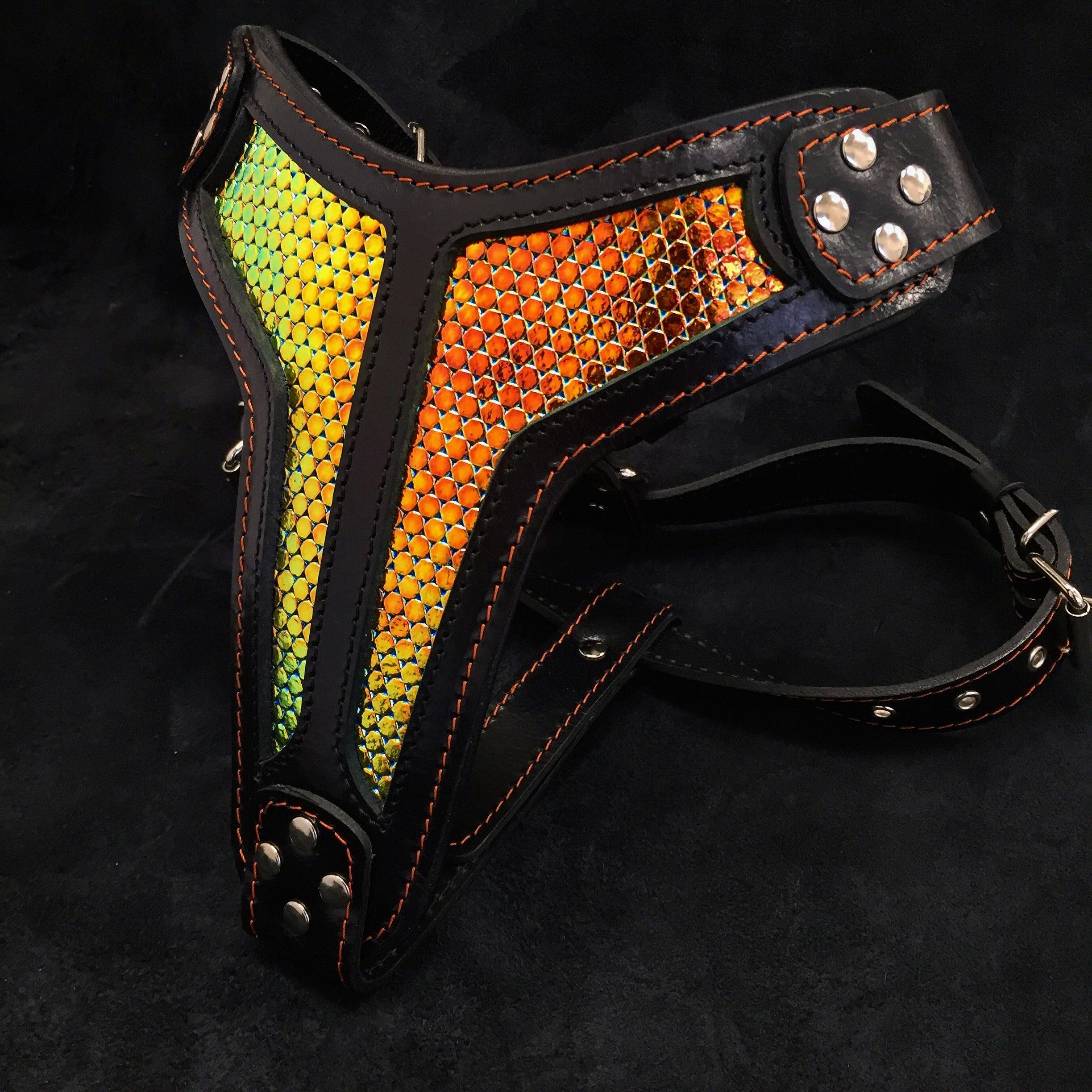 The "D`Albertis" Dog Harness LIMITED