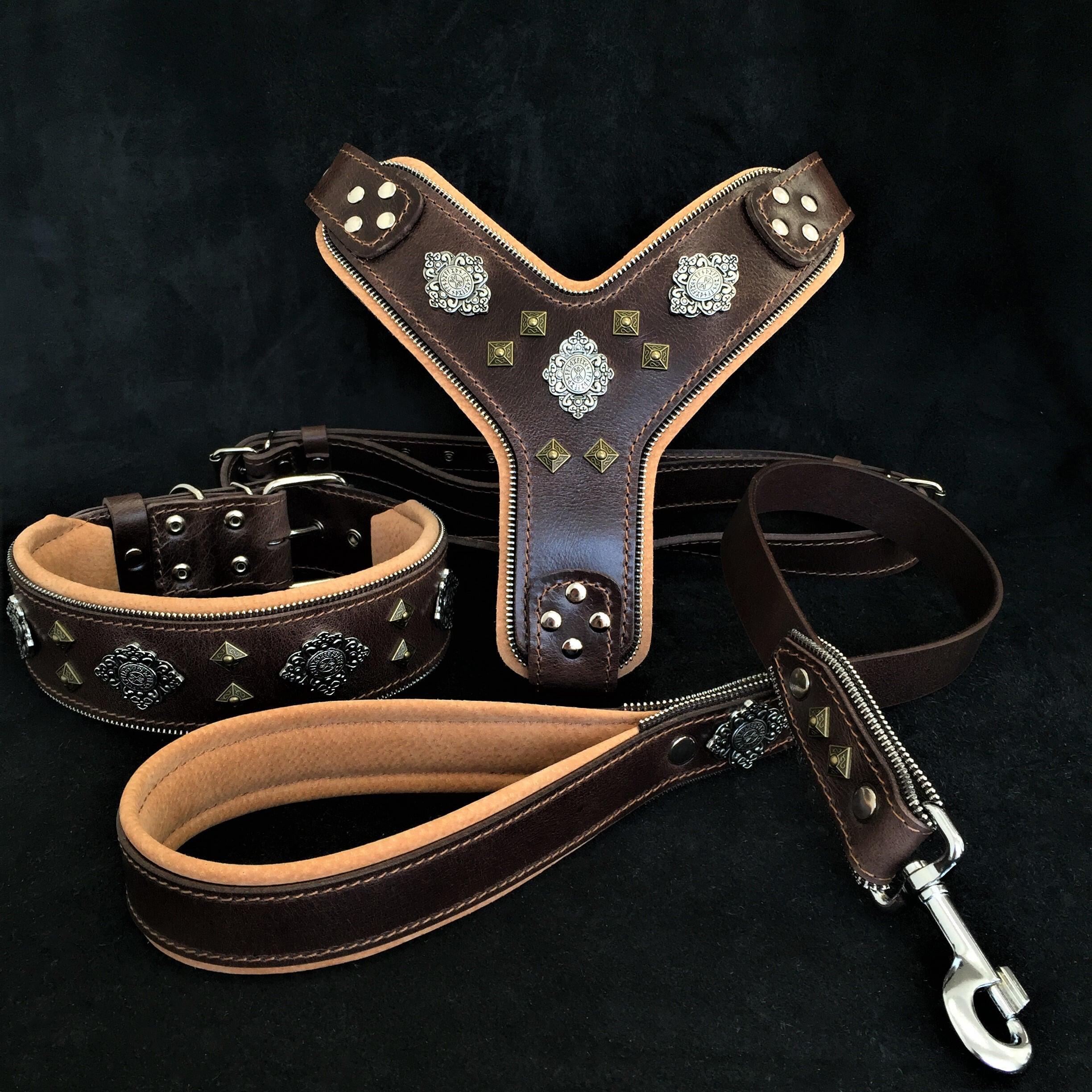 "Aztec" Big Dog SET - Harness - Collar - Lead. Brown