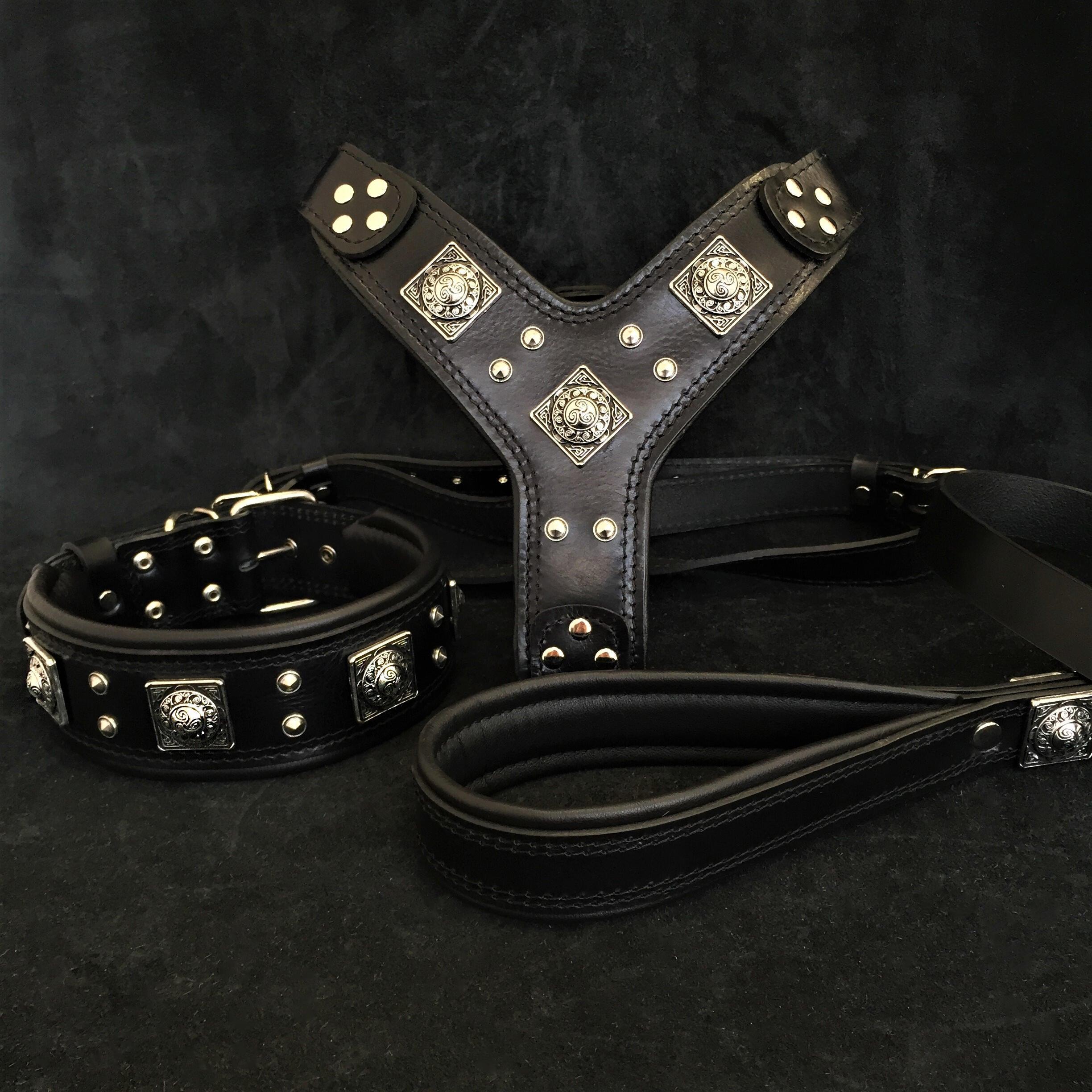 "Eros" Big Dog SET- Harness - Collar - Lead. All Black