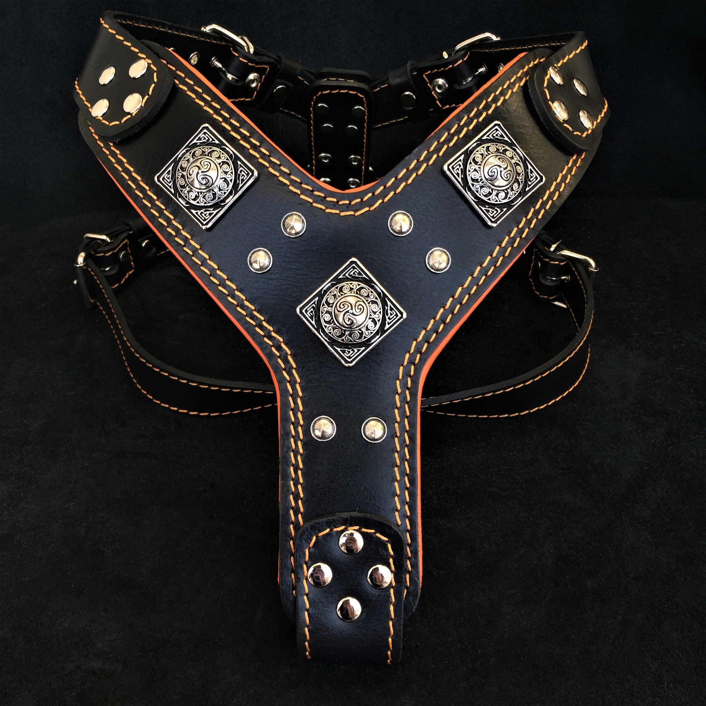 The "Eros" Dog Harness. Black & Orange
